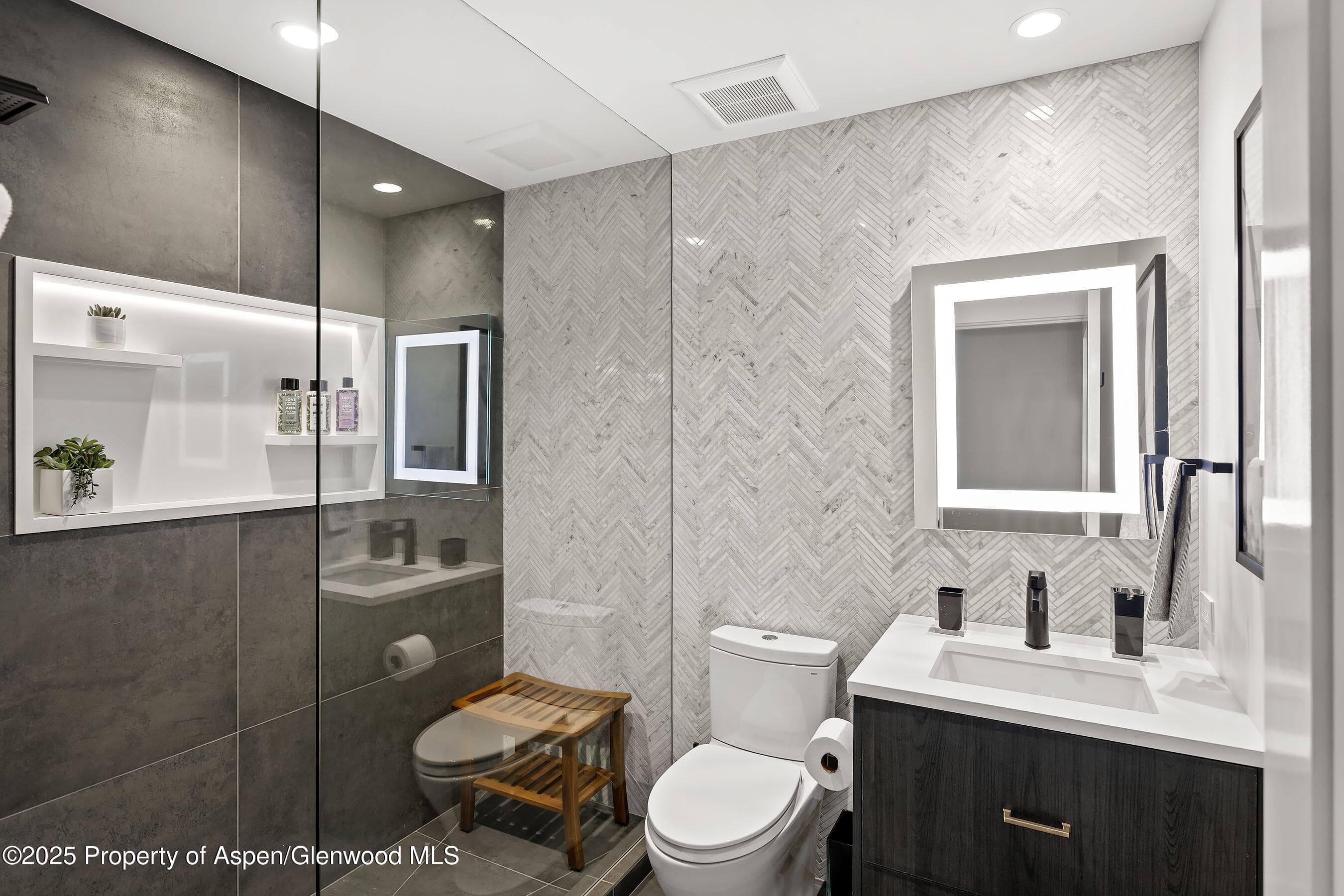 450 S Original Street 8, Aspen, CO 81611 - Photo 16