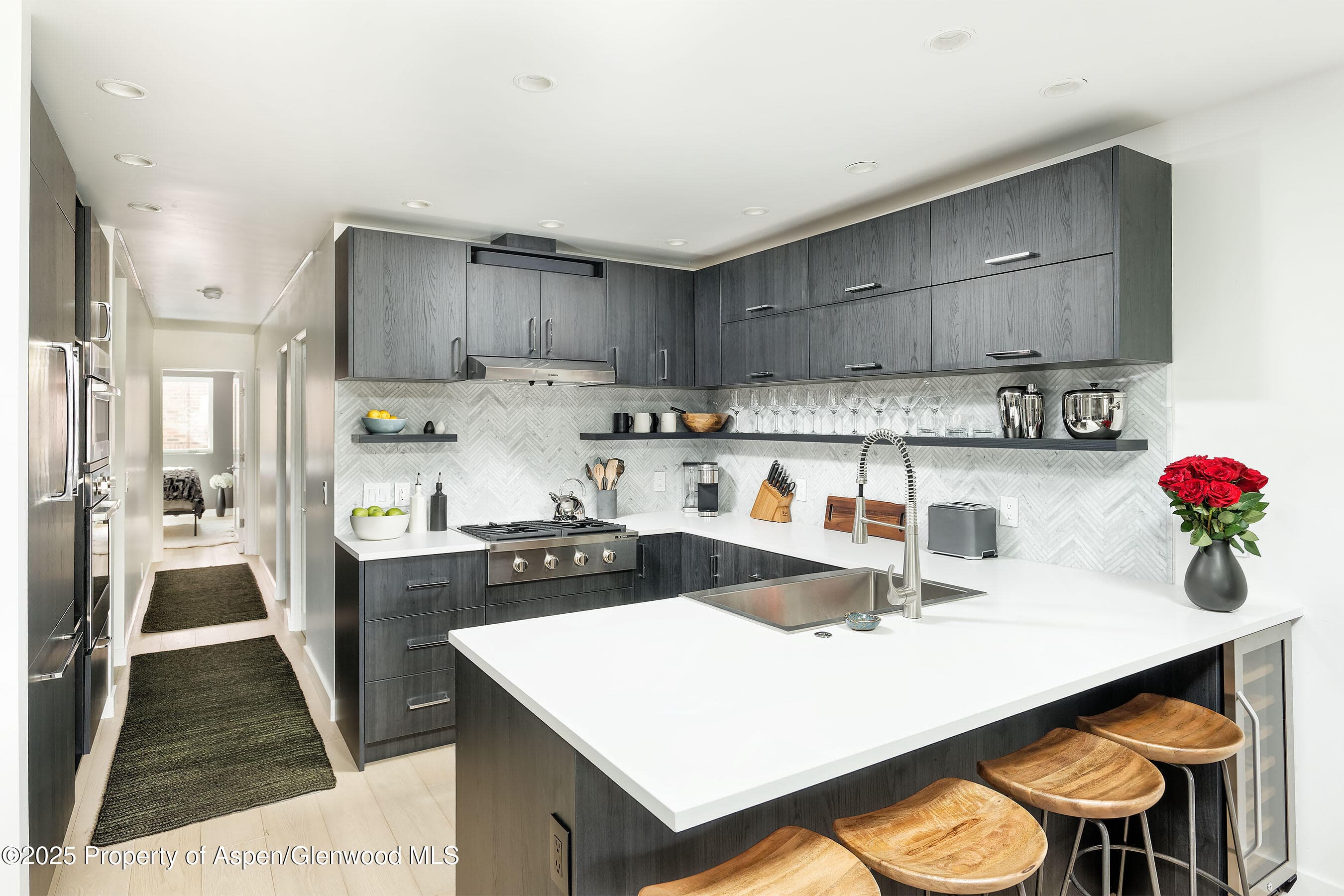 450 S Original Street 8, Aspen, CO 81611 - Photo 8