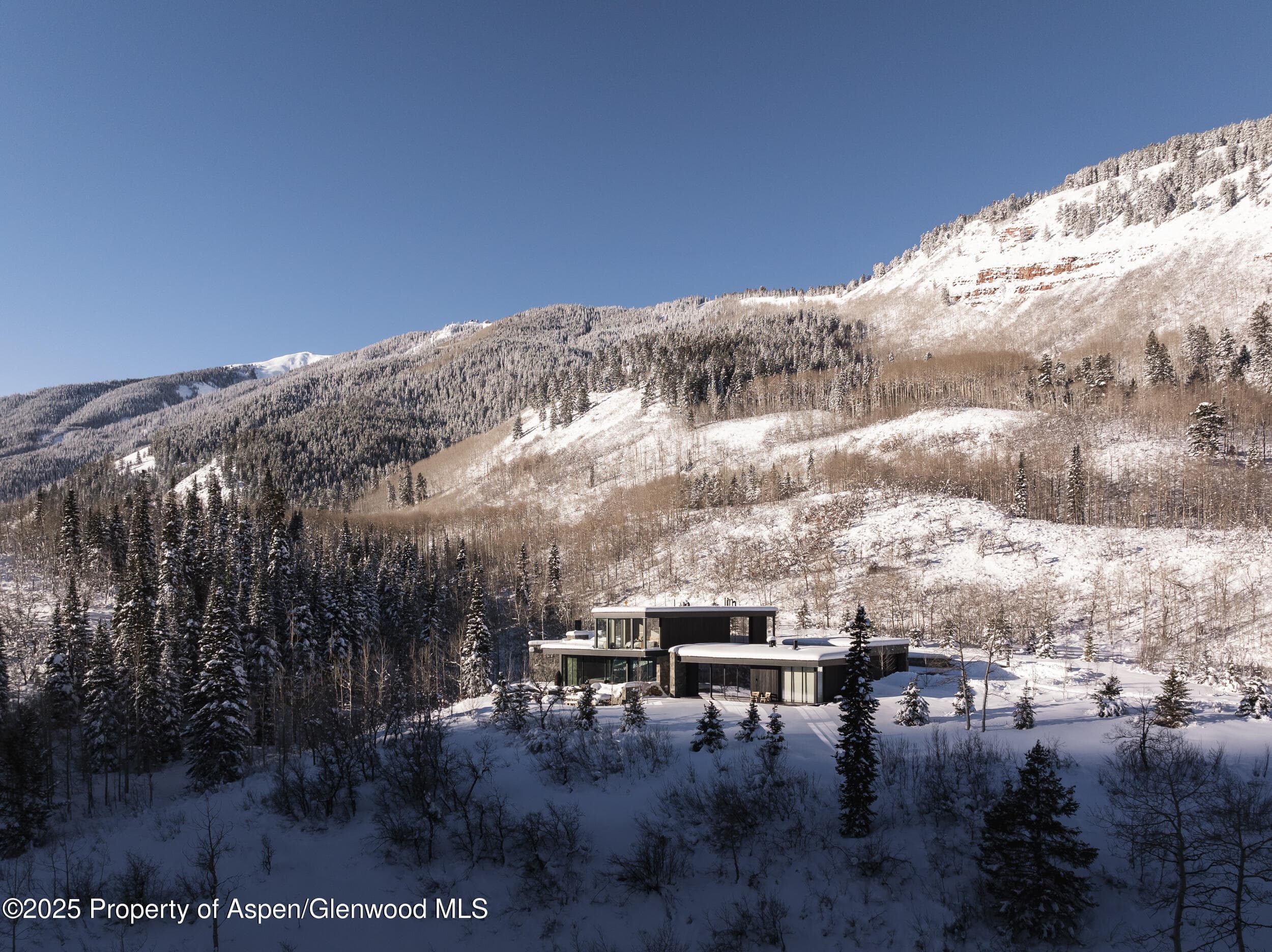 724 N Hayden Road, Aspen, CO 81611 - Photo 46
