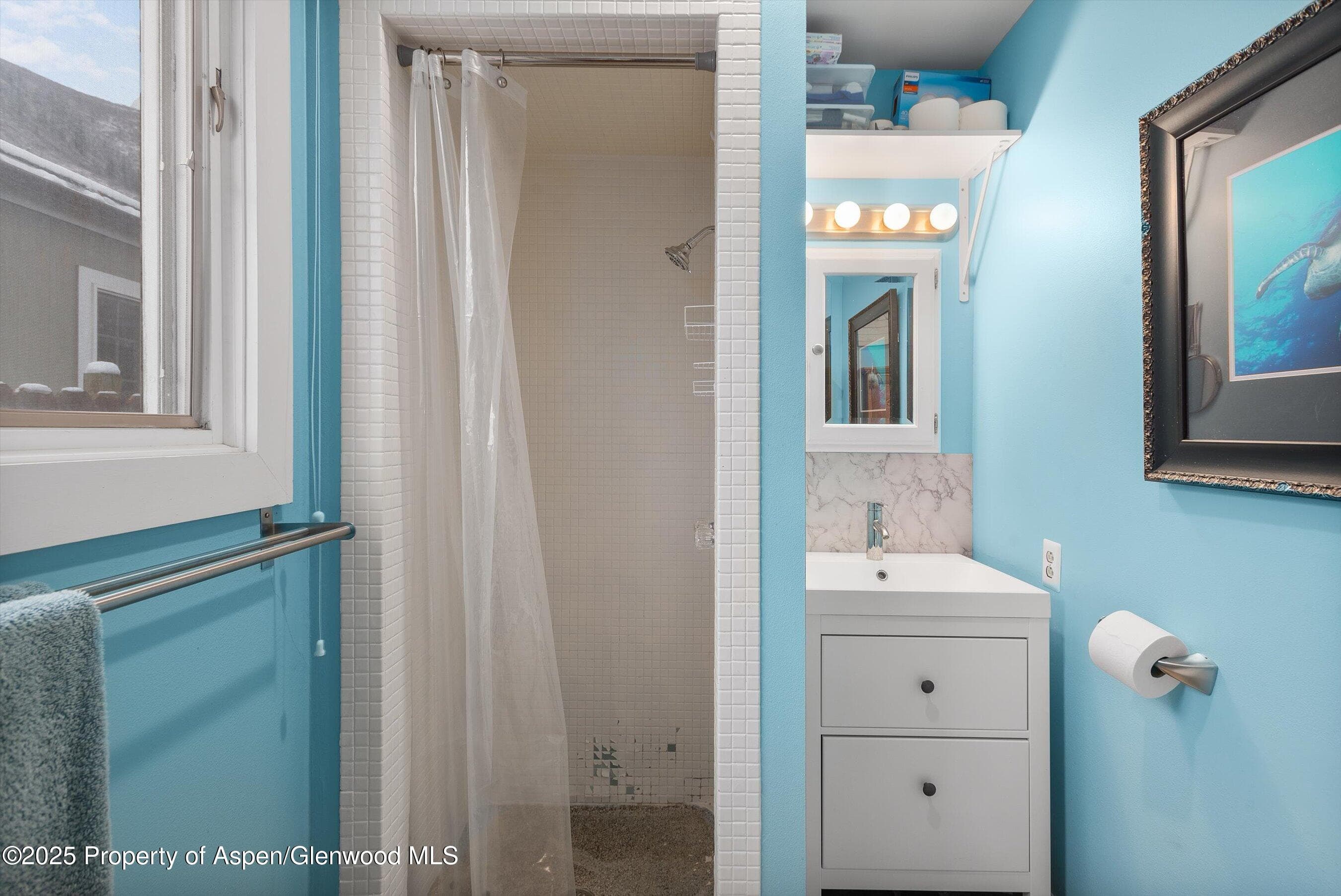 73 Lazy Glen, Snowmass, CO 81654 - Photo 11