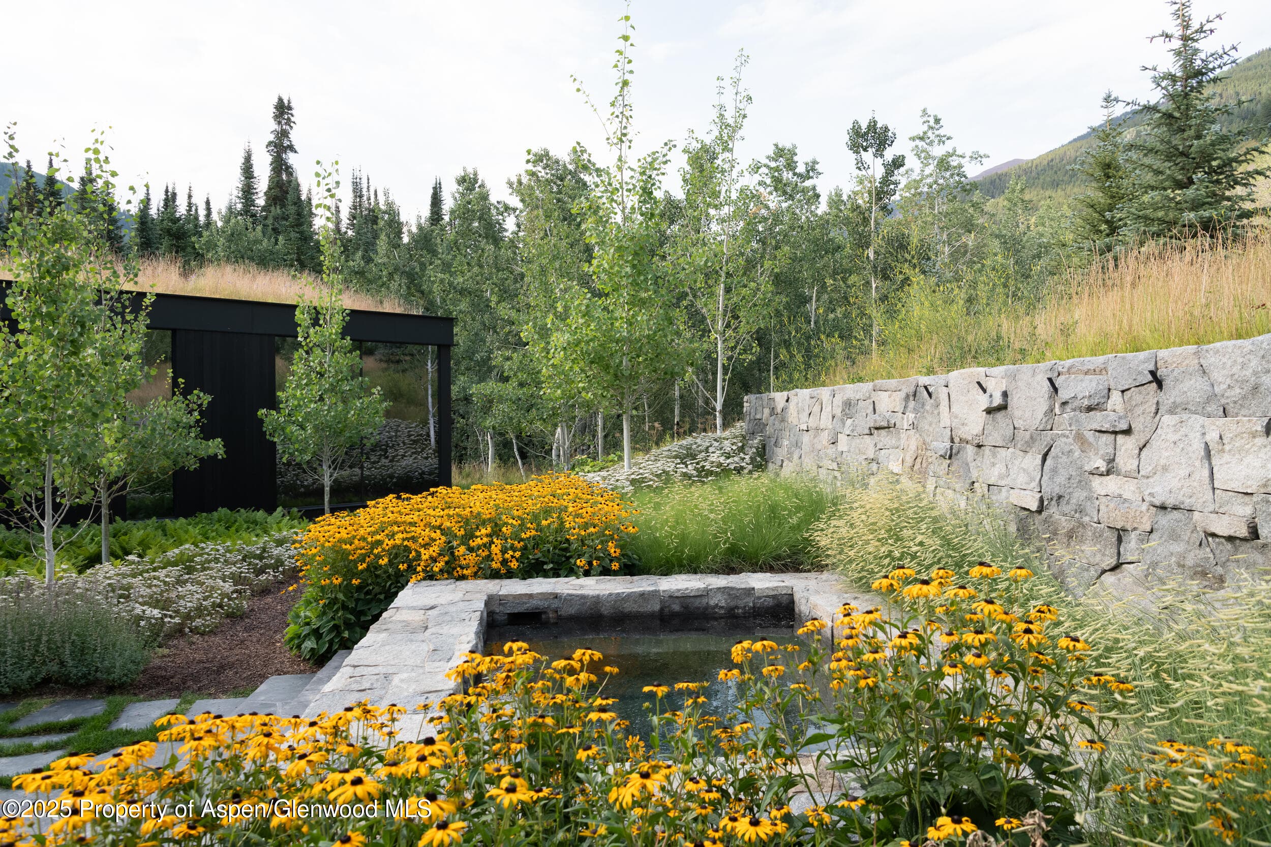 724 N Hayden Road, Aspen, CO 81611 - Photo 30