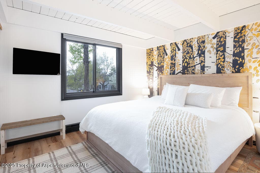 901 E Hyman Avenue 4, Aspen, CO 81611 - Photo 6