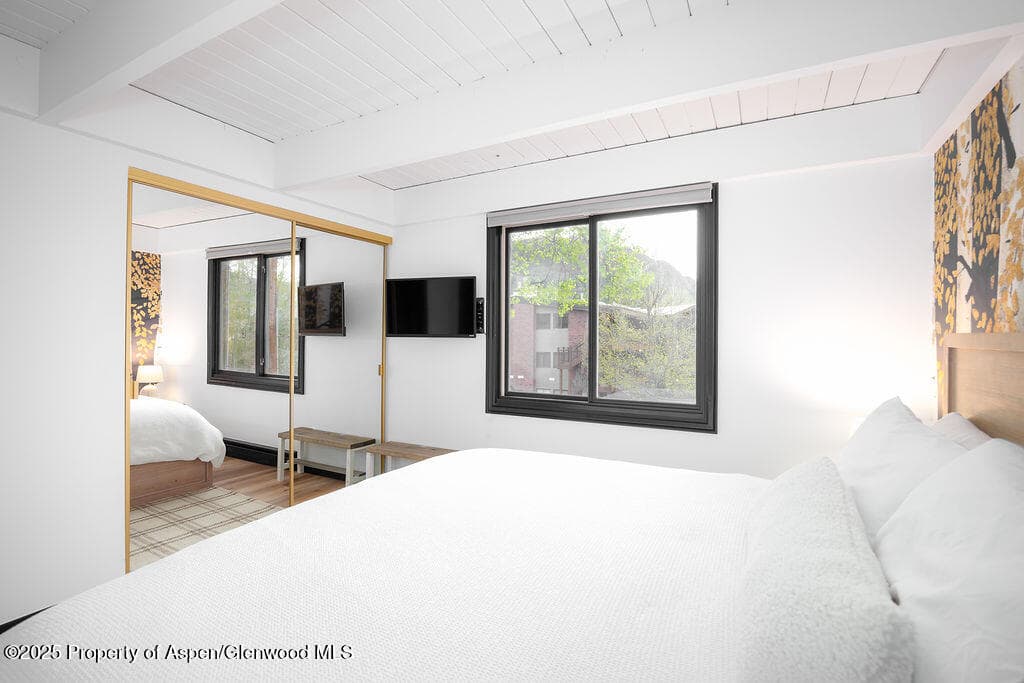901 E Hyman Avenue 4, Aspen, CO 81611 - Photo 7