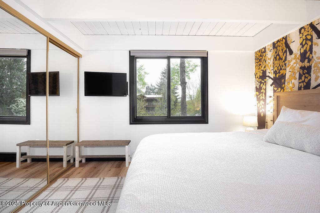 901 E Hyman Avenue 4, Aspen, CO 81611 - Photo 9