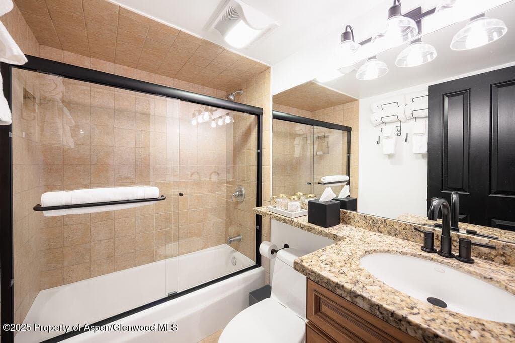 901 E Hyman Avenue 4, Aspen, CO 81611 - Photo 10