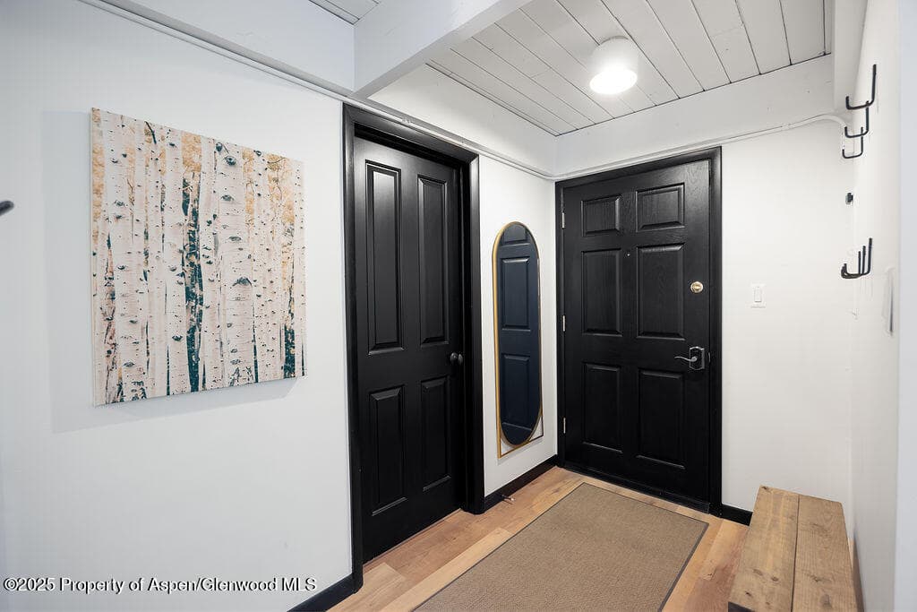 901 E Hyman Avenue 4, Aspen, CO 81611 - Photo 12
