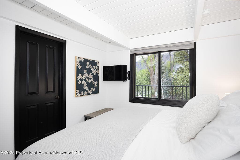 901 E Hyman Avenue 4, Aspen, CO 81611 - Photo 13