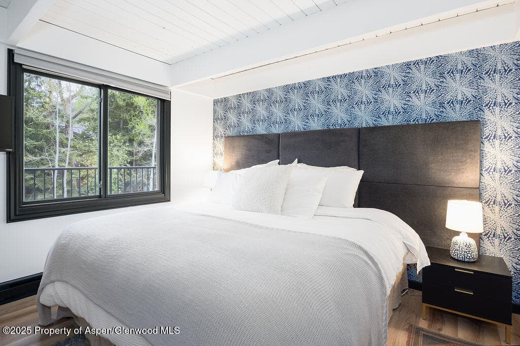901 E Hyman Avenue 4, Aspen, CO 81611 - Photo 15