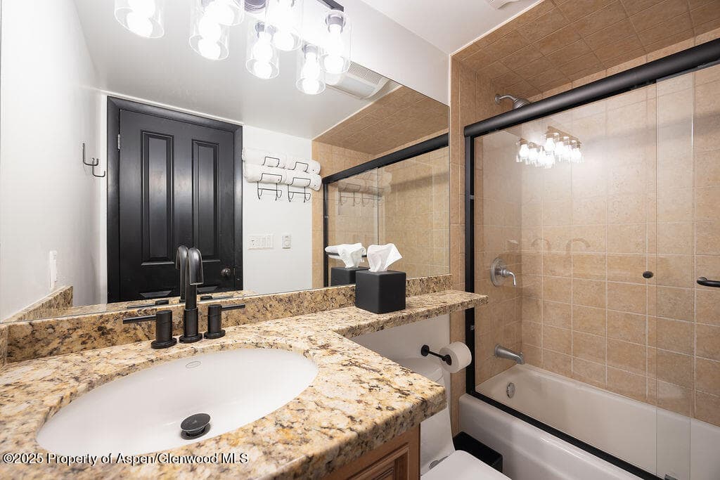 901 E Hyman Avenue 4, Aspen, CO 81611 - Photo 16