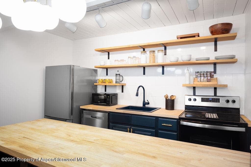 901 E Hyman Avenue 4, Aspen, CO 81611 - Photo 18