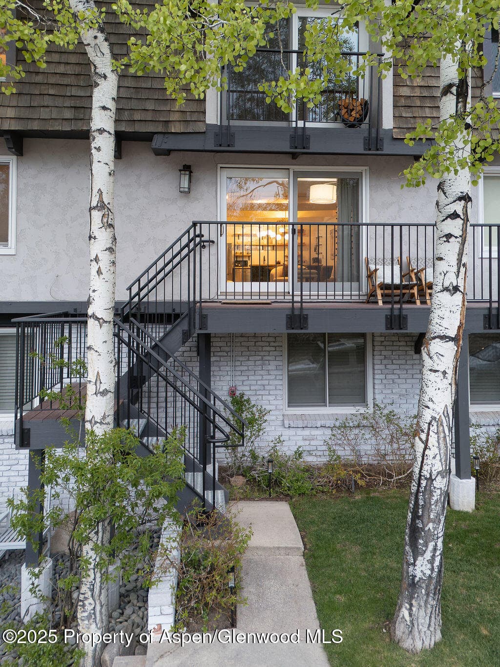901 E Hyman Avenue 4, Aspen, CO 81611 - Photo 21