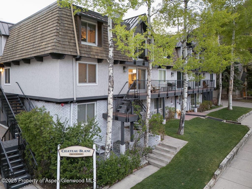 901 E Hyman Avenue 4, Aspen, CO 81611 - Photo 22
