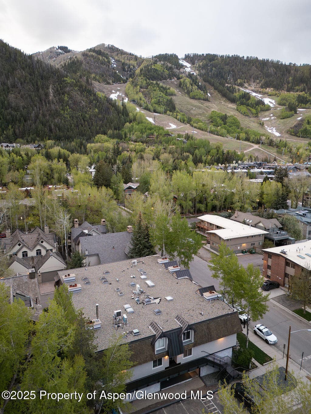901 E Hyman Avenue 4, Aspen, CO 81611 - Photo 23