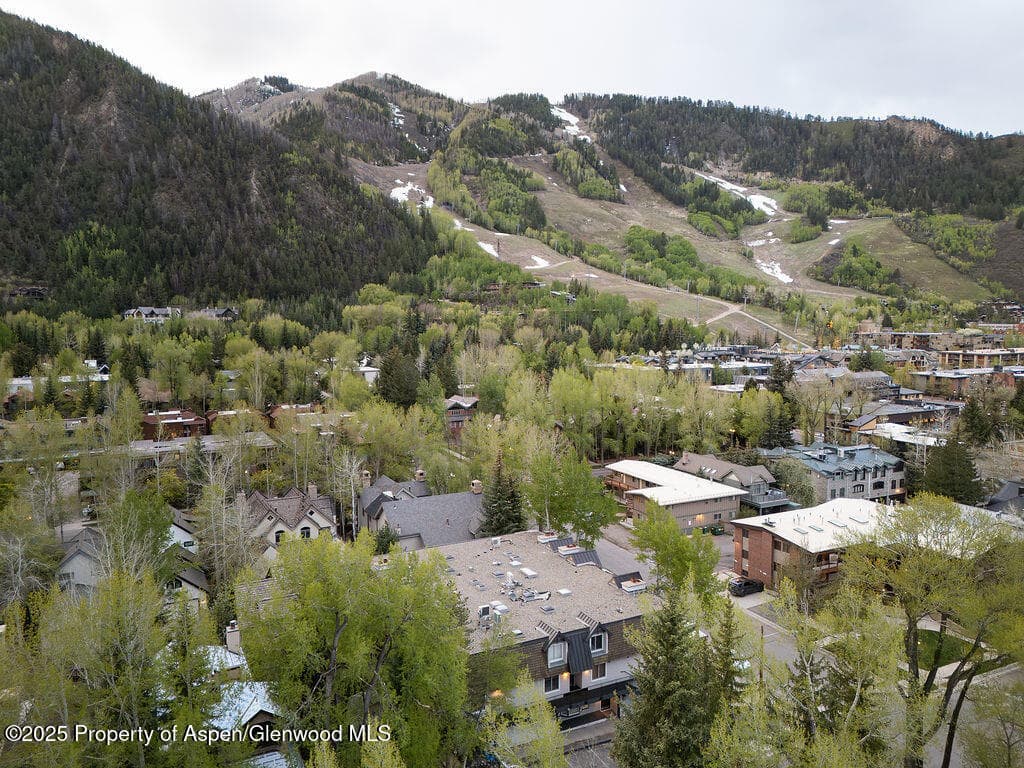 901 E Hyman Avenue 4, Aspen, CO 81611 - Photo 24