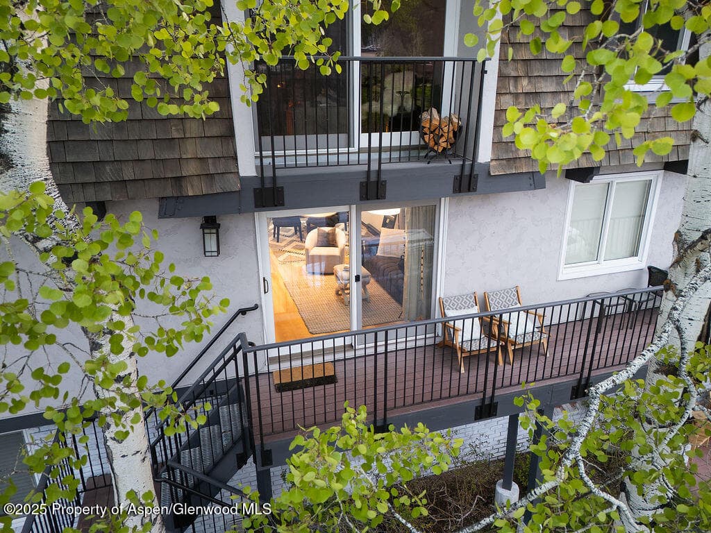 901 E Hyman Avenue 4, Aspen, CO 81611 - Photo 25