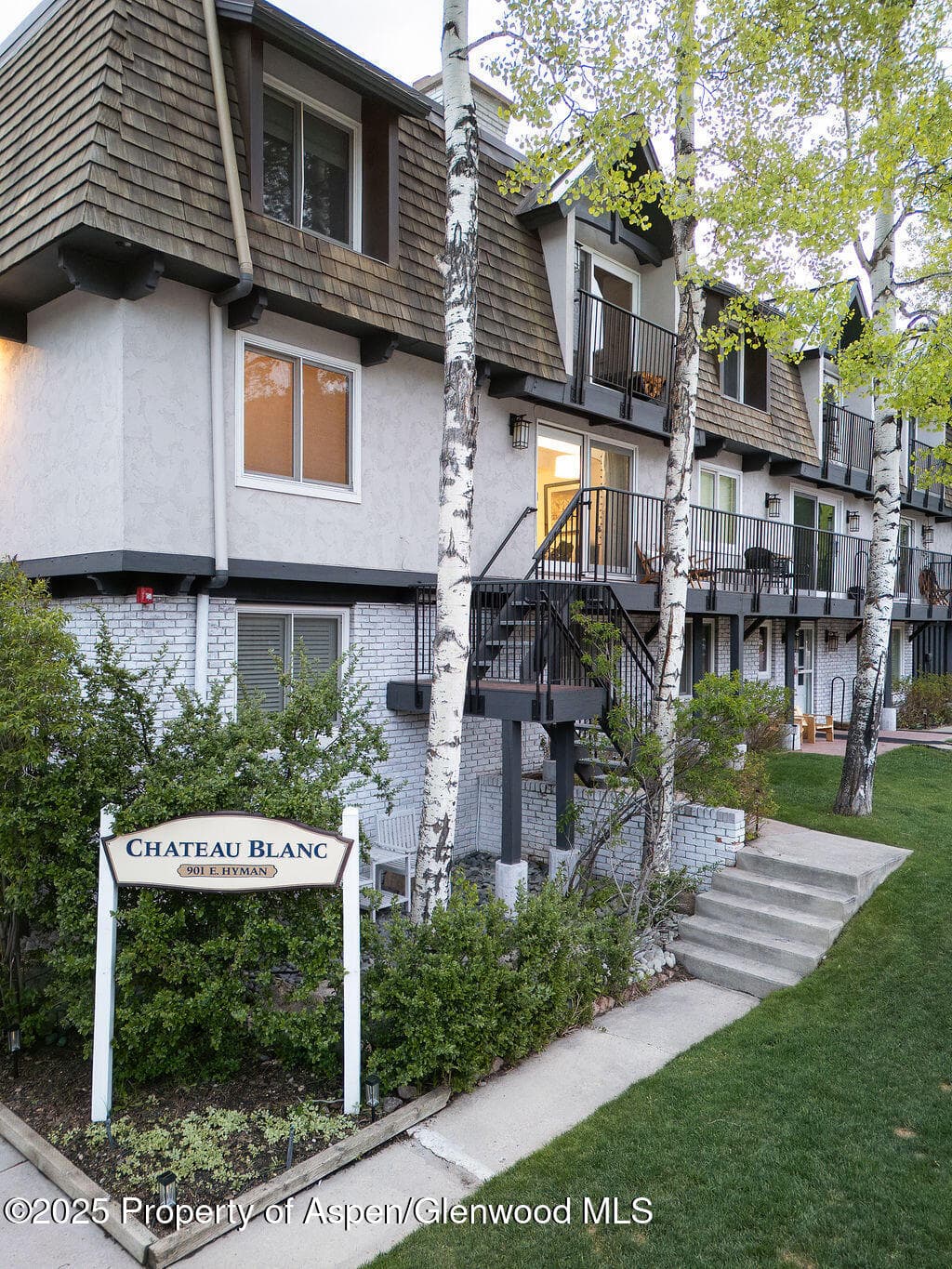 901 E Hyman Avenue 4, Aspen, CO 81611 - Photo 26