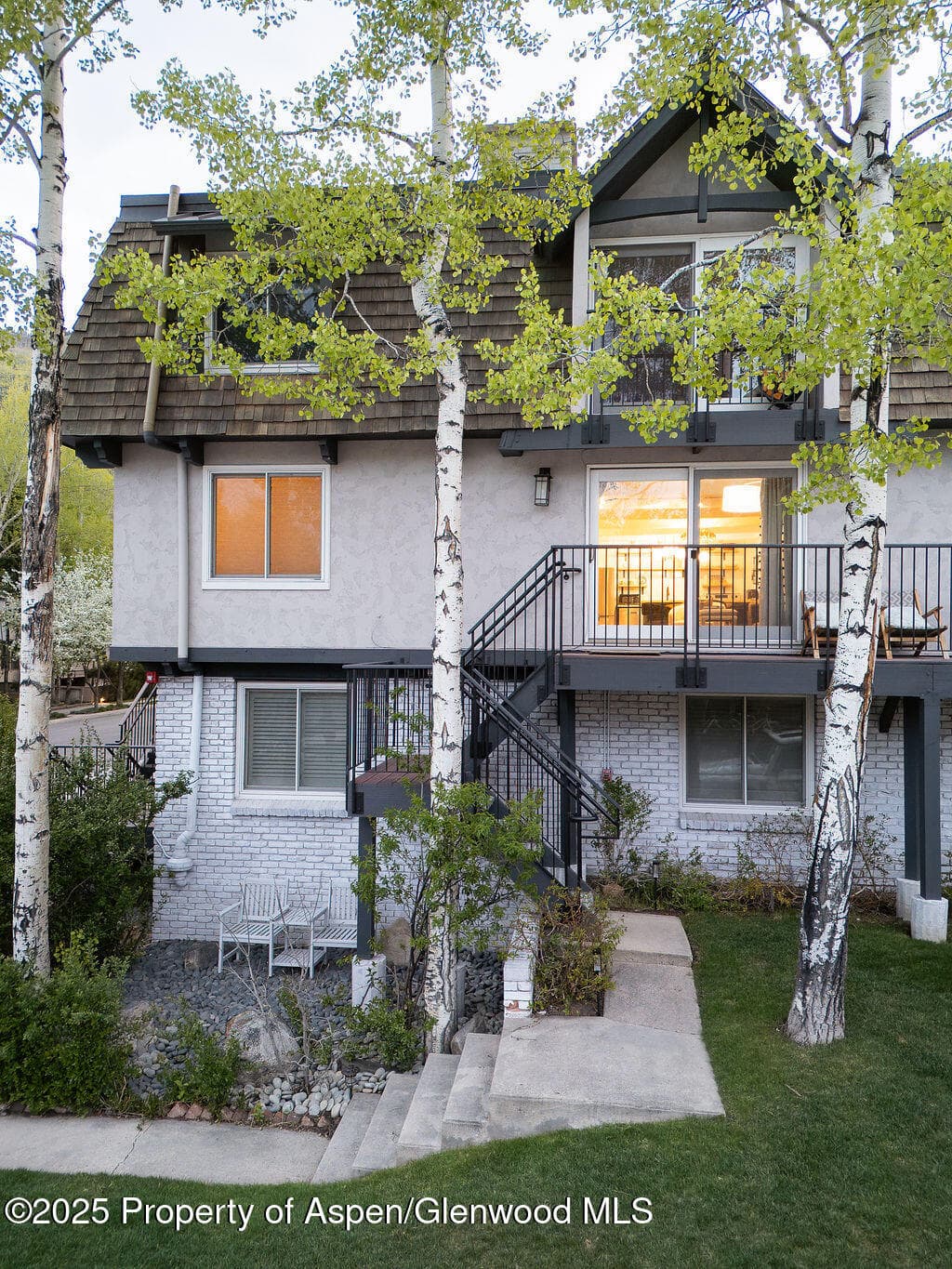 901 E Hyman Avenue 4, Aspen, CO 81611 - Photo 27
