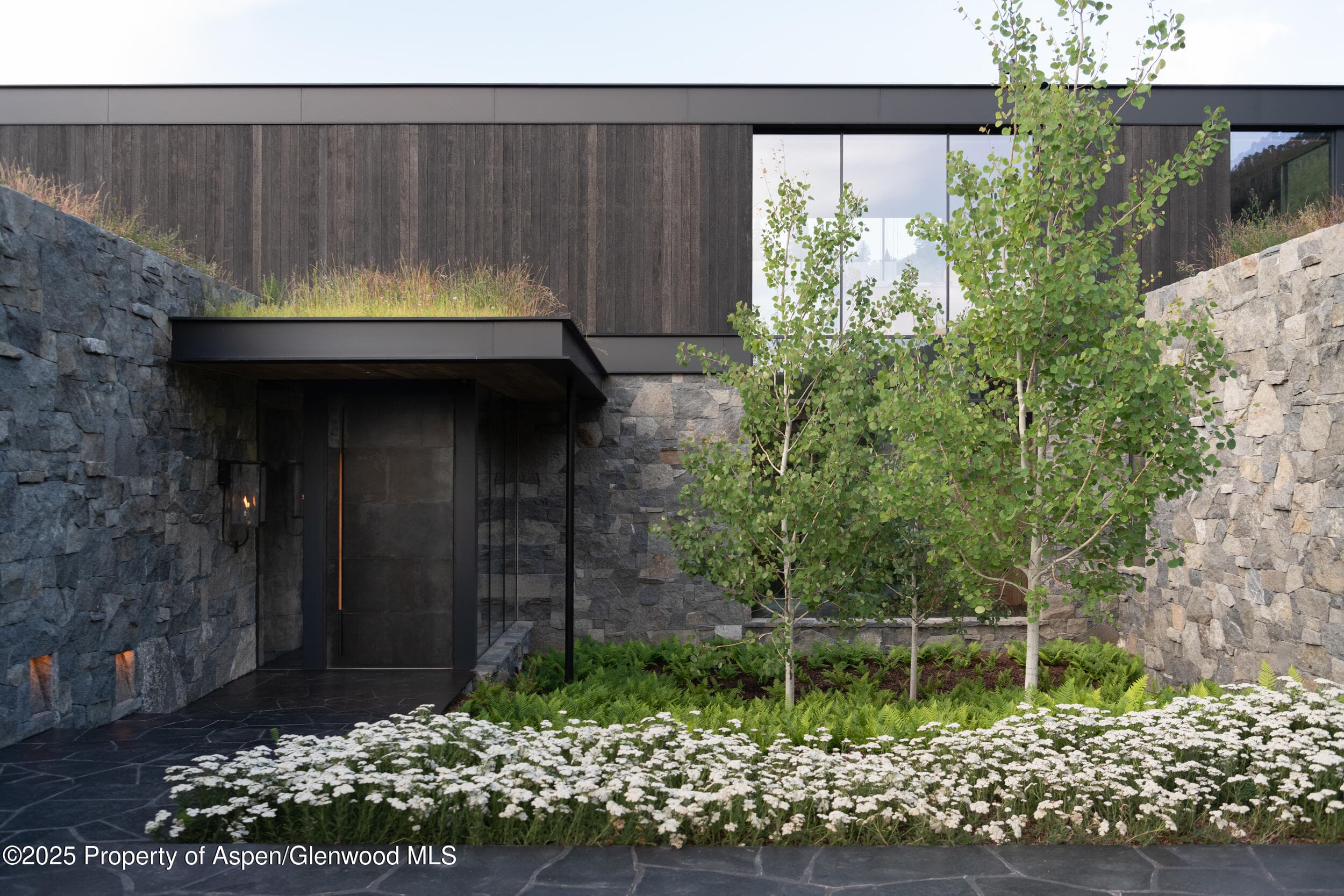 724 N Hayden Road, Aspen, CO 81611 - Photo 4