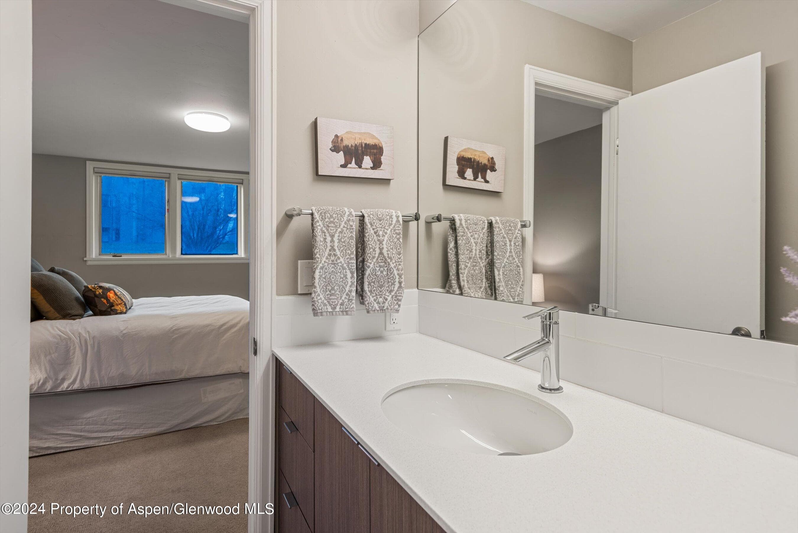 1650 Homestake Drive, Aspen, CO 81611 - Photo 21