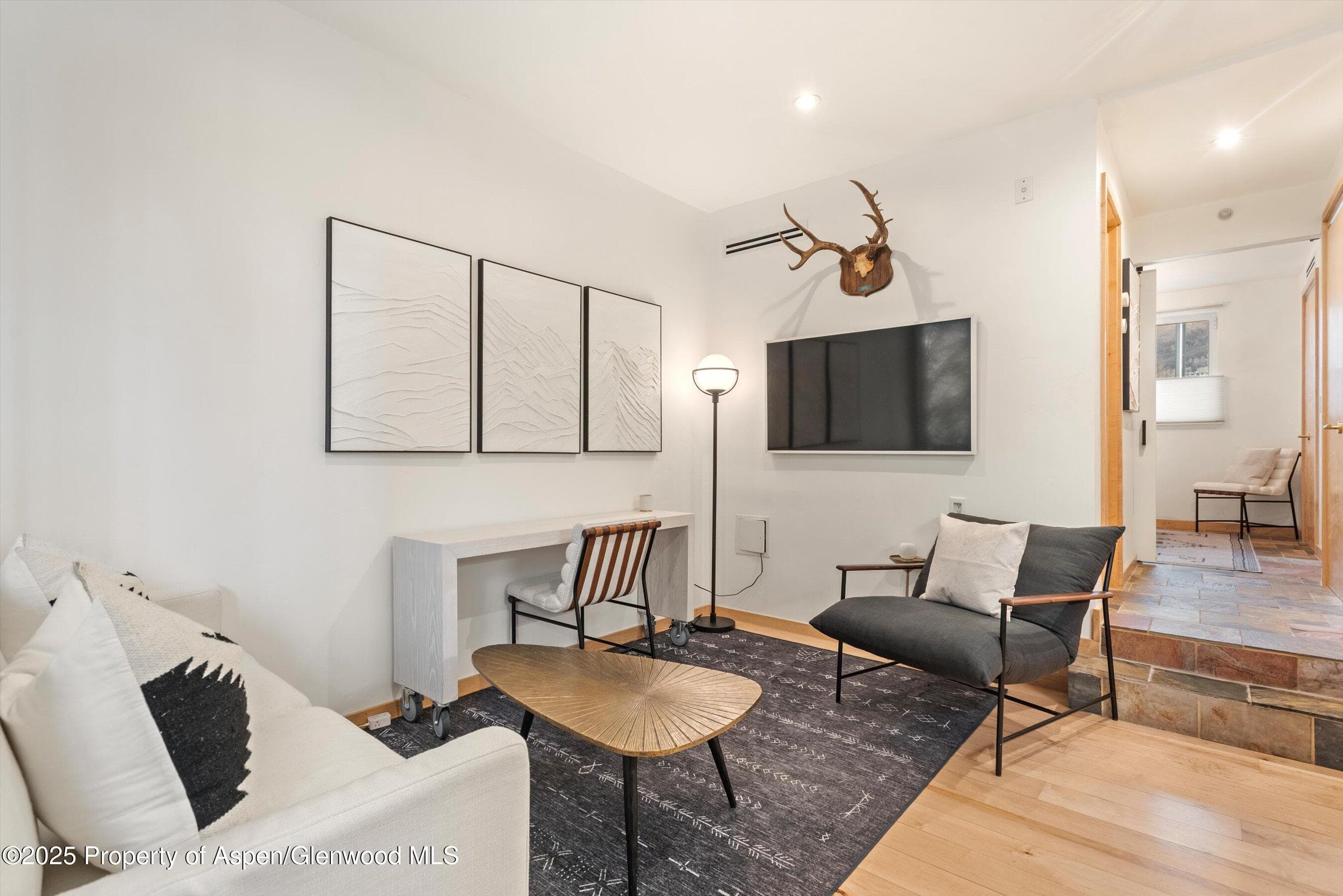 434 E Main Street 102, Aspen, CO 81611 - Photo 3