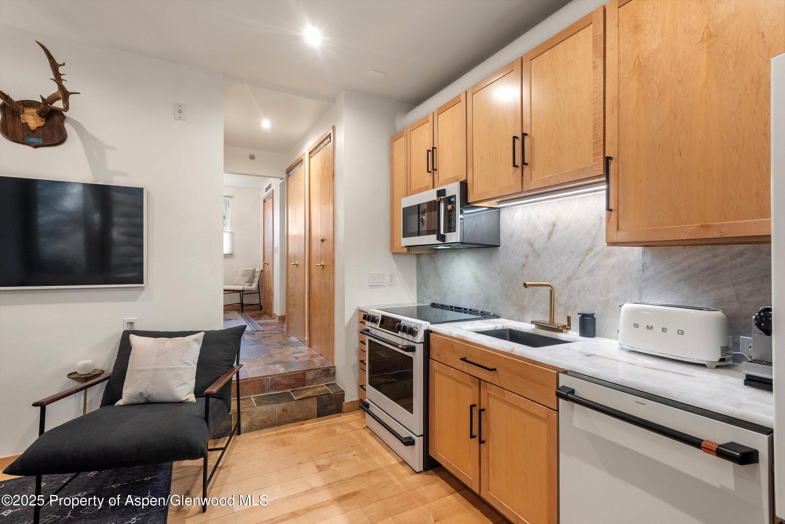 434 E Main Street 102, Aspen, CO 81611 - Photo 5