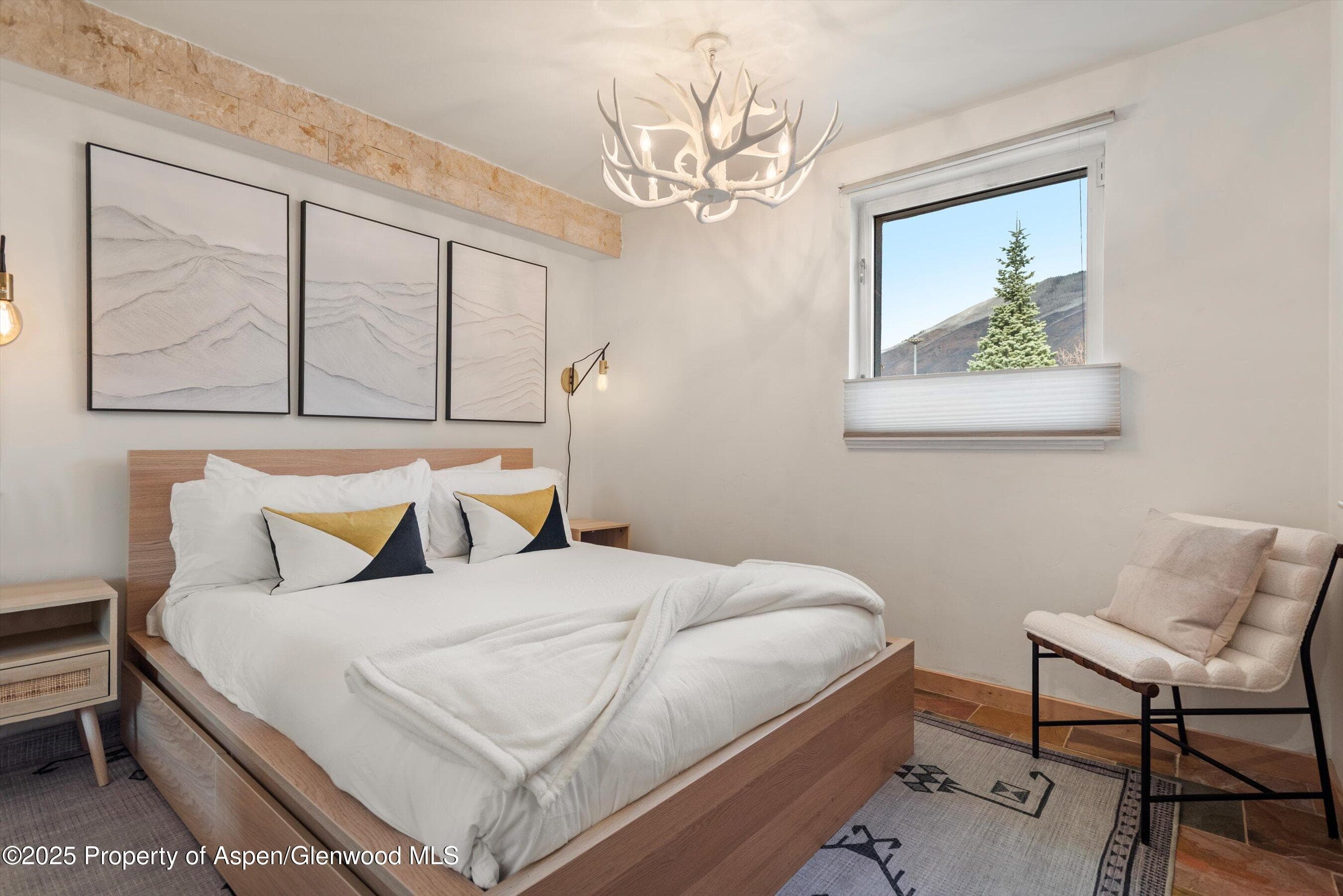 434 E Main Street 102, Aspen, CO 81611 - Photo 6