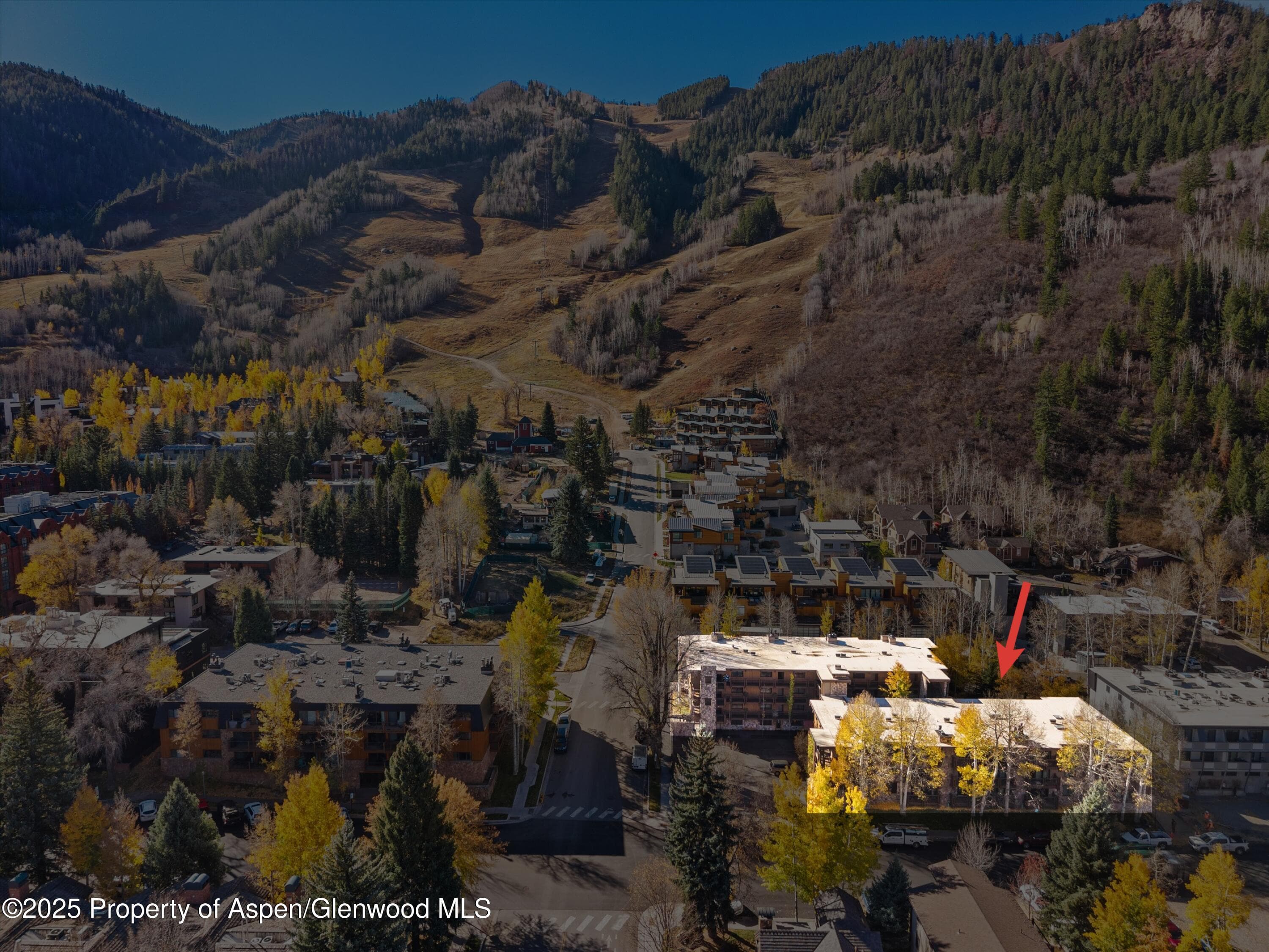 131 E Durant Avenue 202, Aspen, CO 81611 - Photo 17
