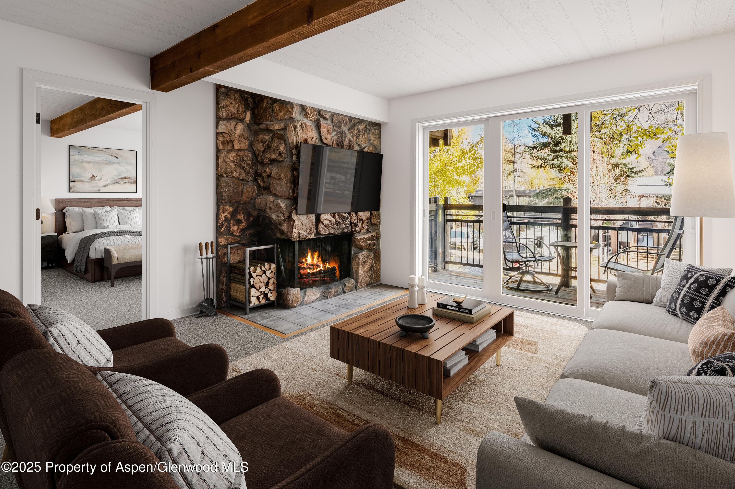 131 E Durant Avenue 202, Aspen, CO 81611 - Photo 14