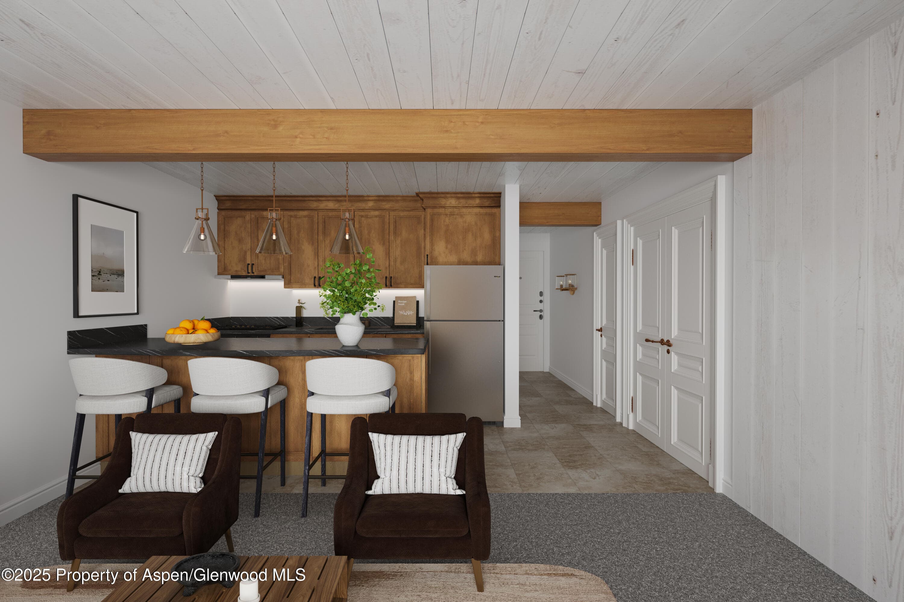131 E Durant Avenue 202, Aspen, CO 81611 - Photo 15