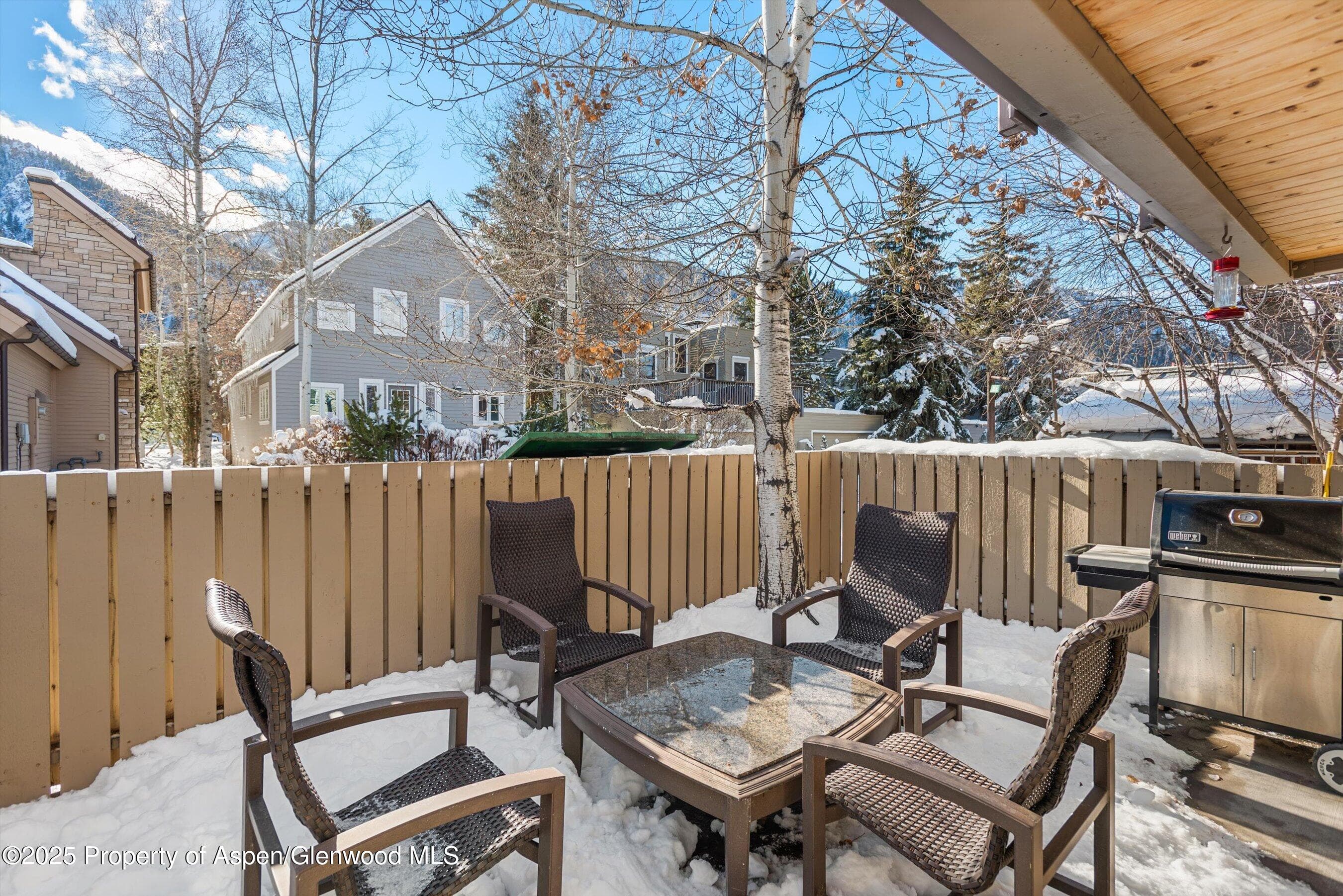 825 E Hopkins Avenue 2S, Aspen, CO 81611 - Photo 22
