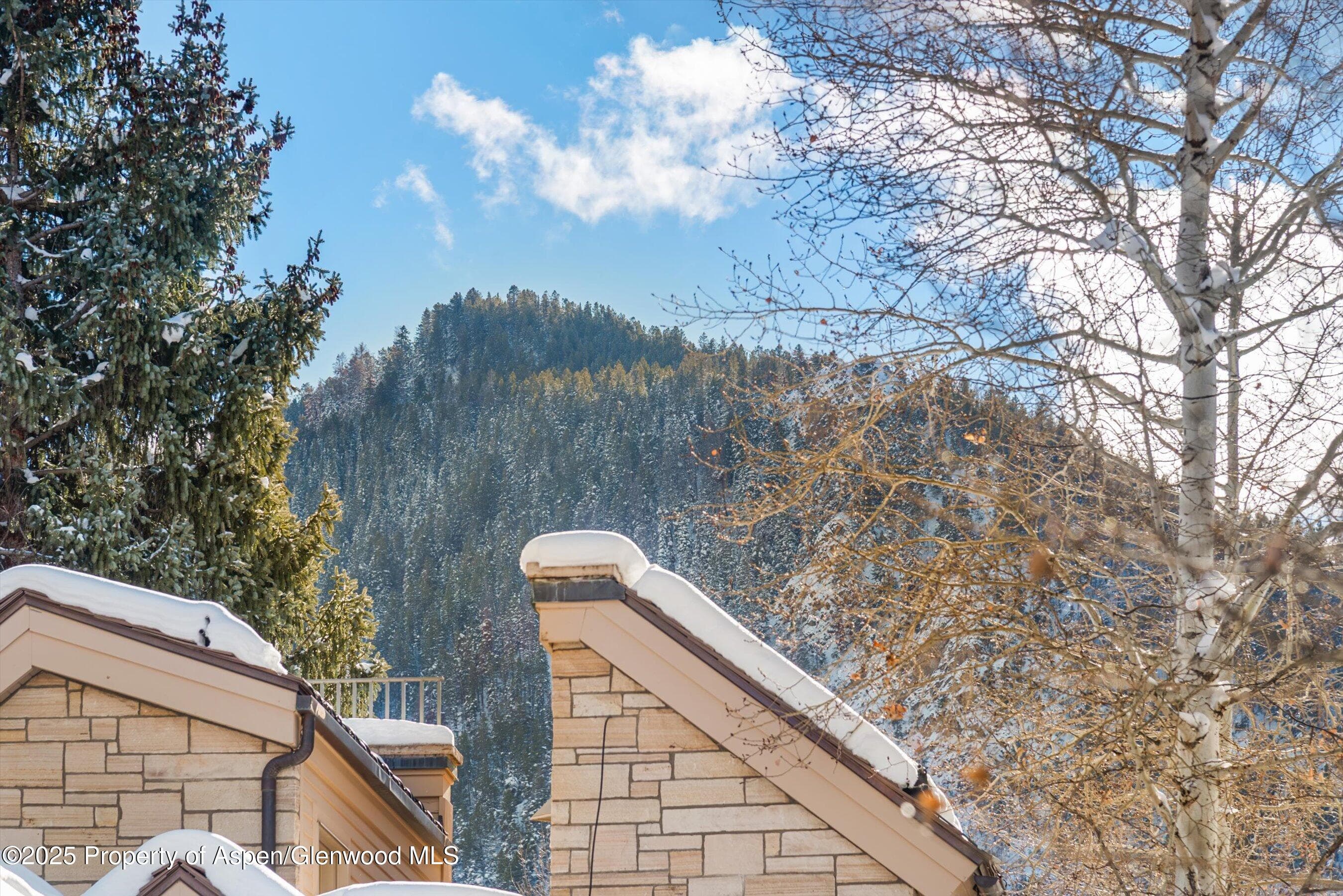 825 E Hopkins Avenue 2S, Aspen, CO 81611 - Photo 24