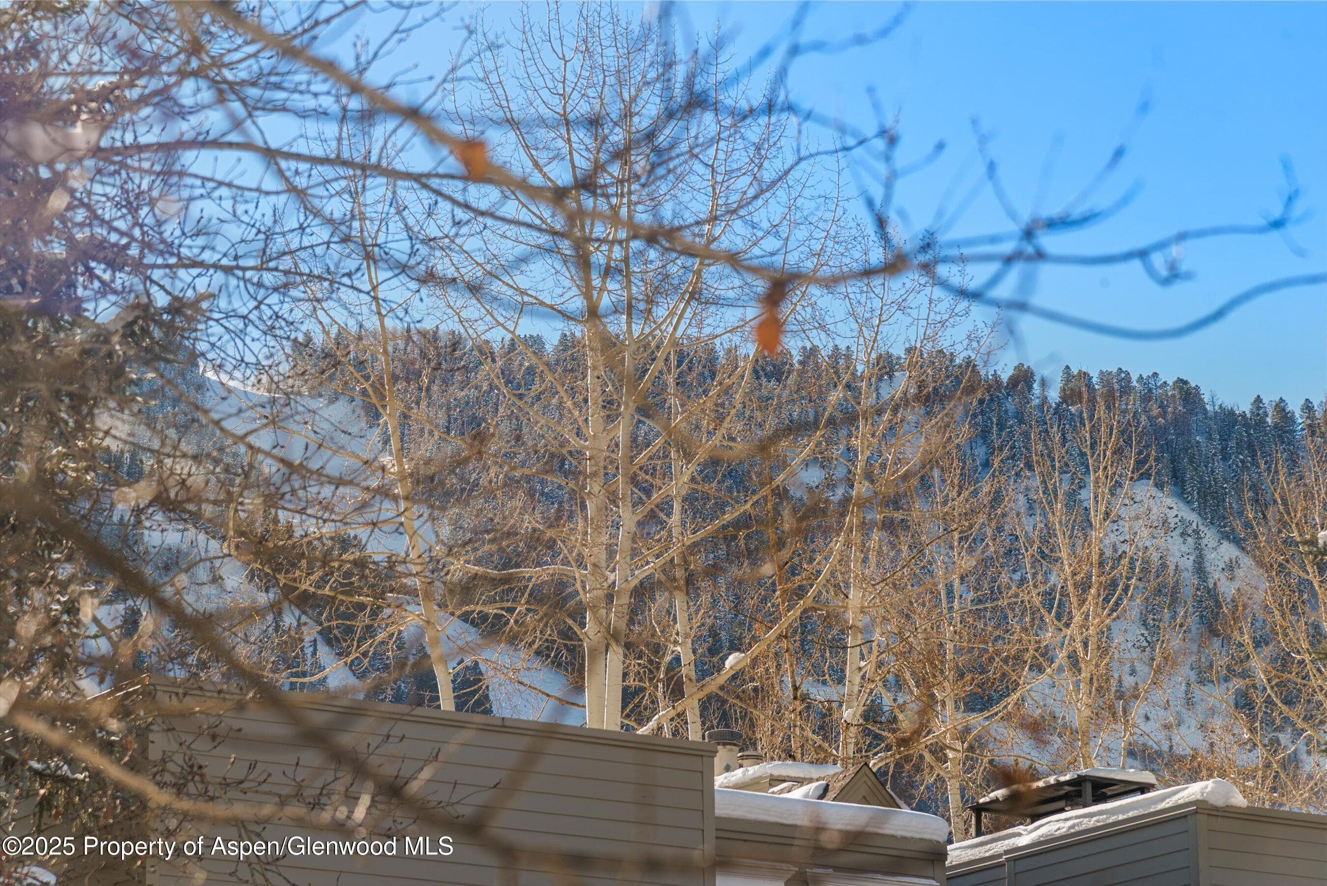 825 E Hopkins Avenue 2S, Aspen, CO 81611 - Photo 25