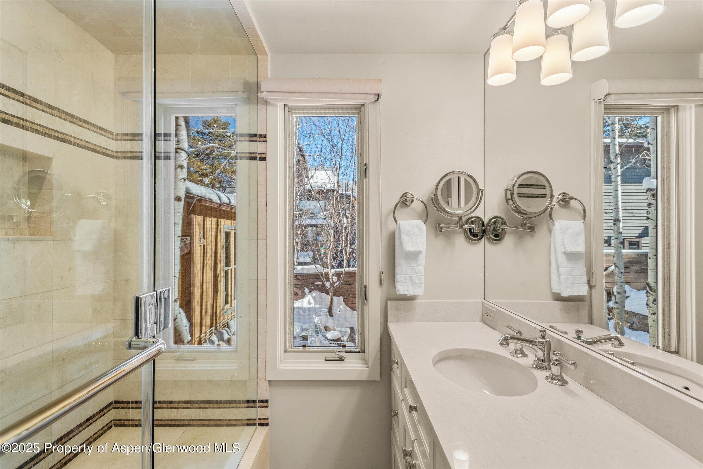825 E Hopkins Avenue 2S, Aspen, CO 81611 - Photo 12