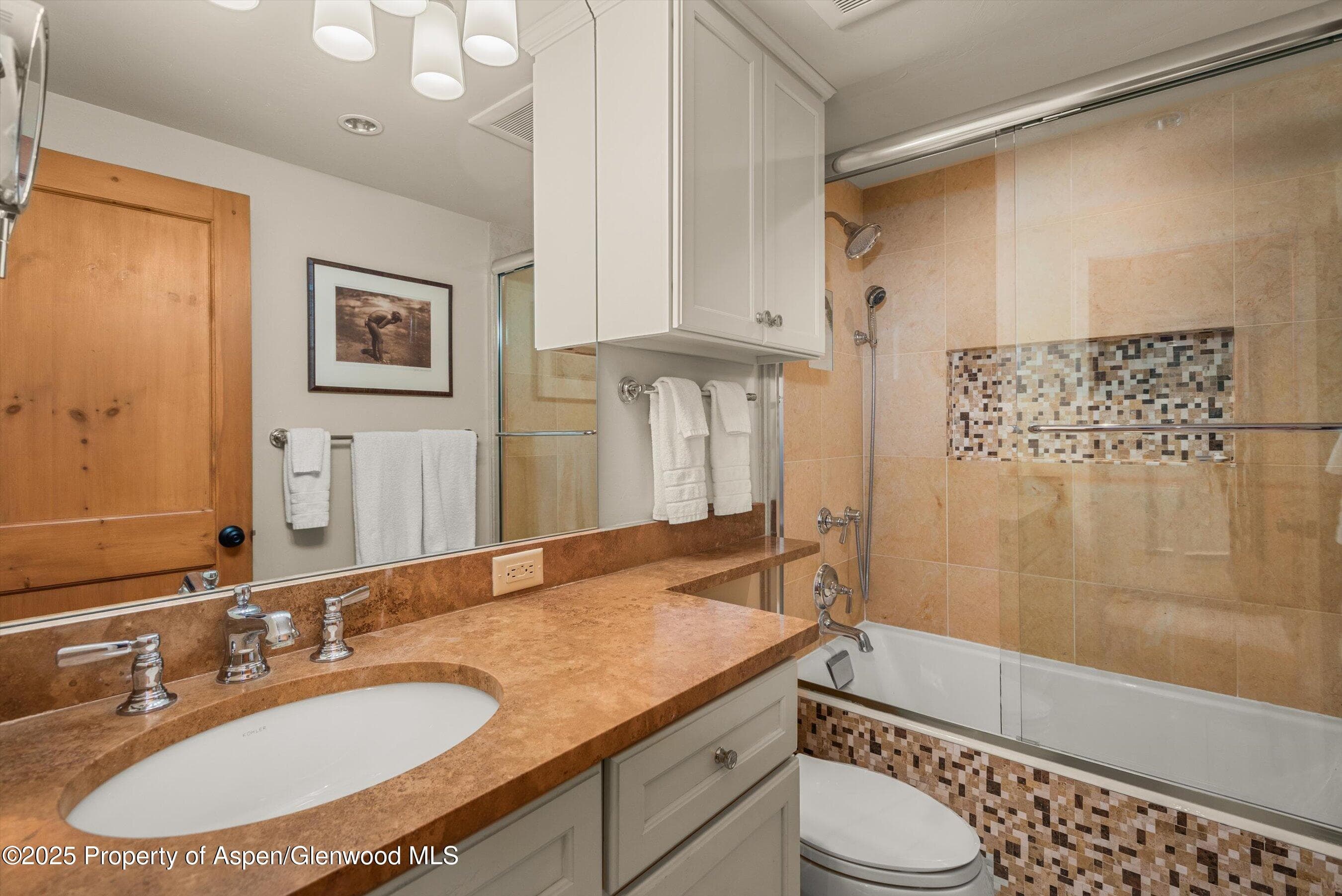 825 E Hopkins Avenue 2S, Aspen, CO 81611 - Photo 16