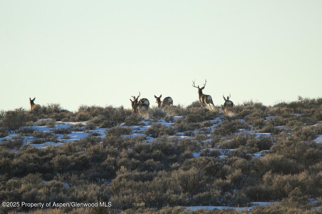 TBD County Road 53, Maybell, CO 81640 - Photo 23