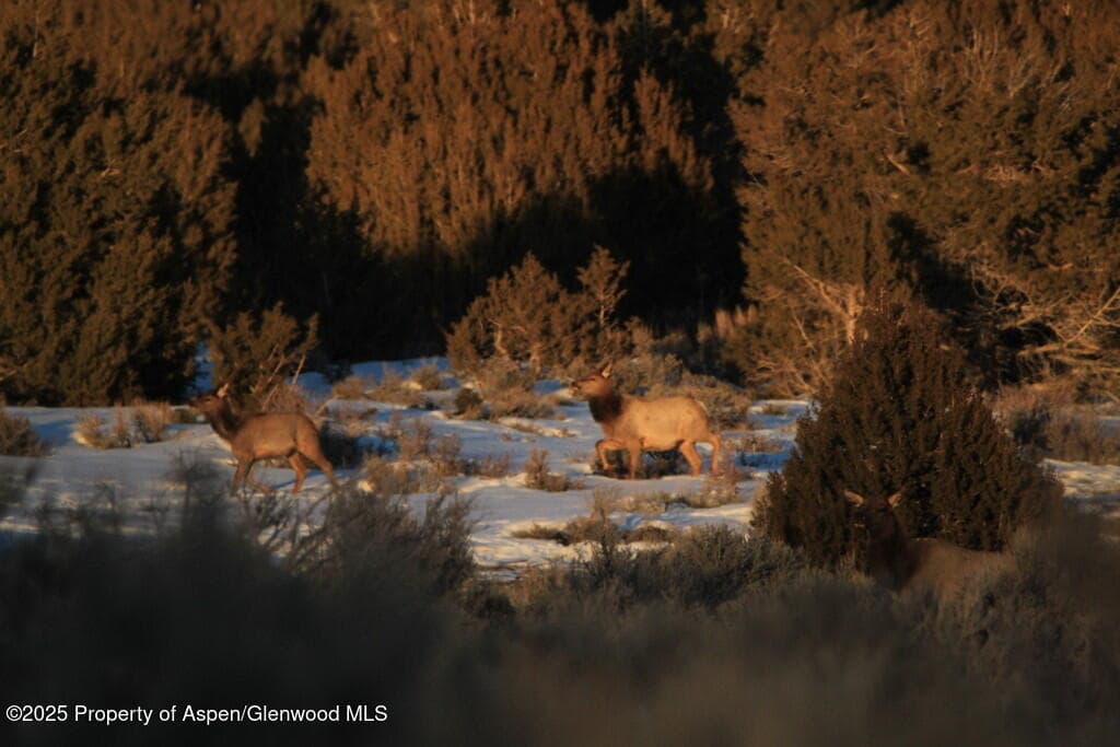 TBD County Road 53, Maybell, CO 81640 - Photo 24