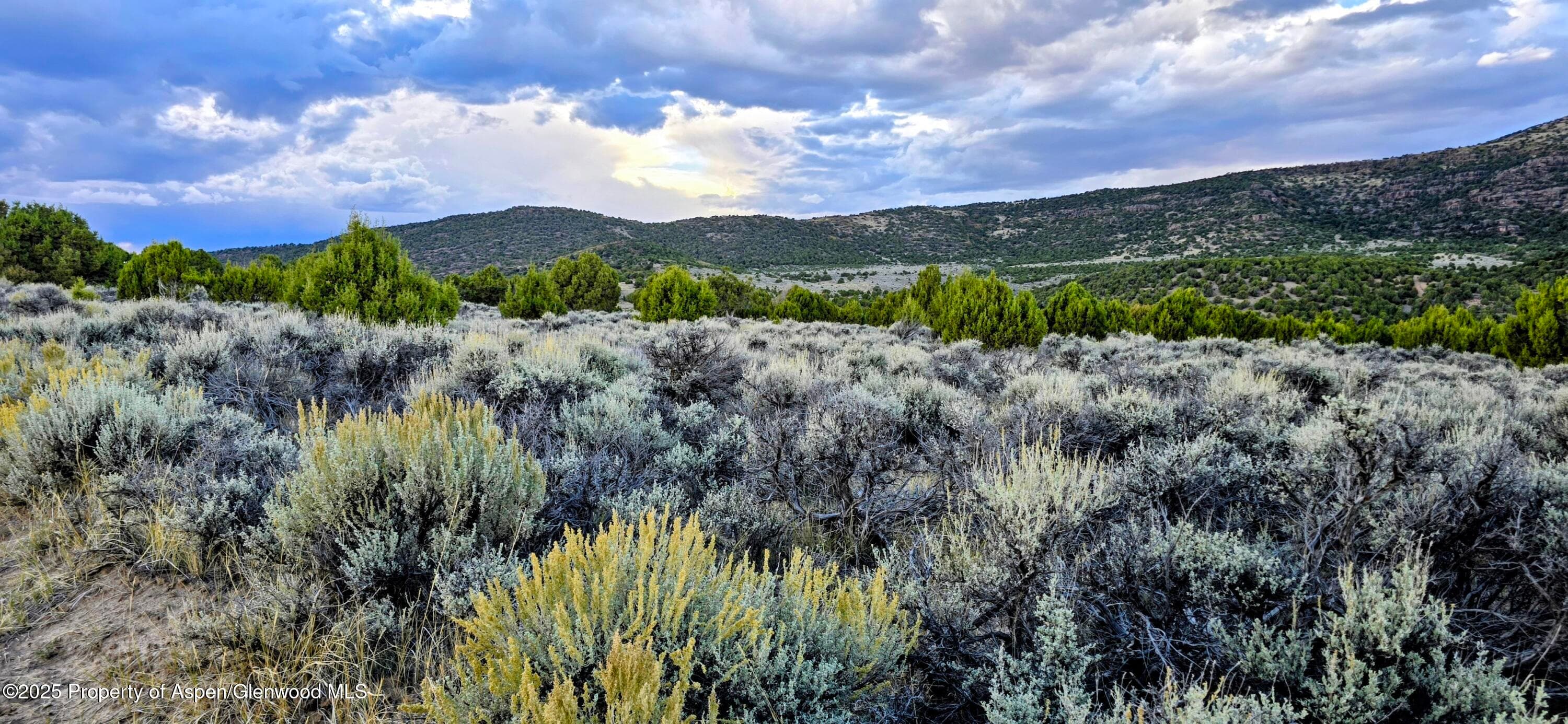 TBD County Road 53, Maybell, CO 81640 - Photo 29