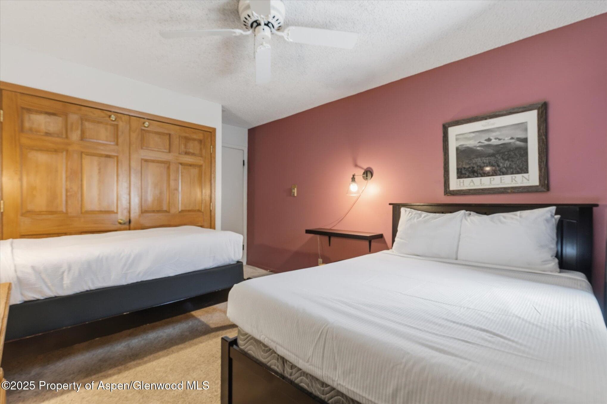 2350 Ski Trail Lane 226, Steamboat, CO 80487 - Photo 22