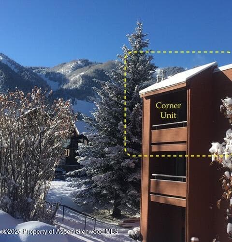 1136 Vine Street 1136, Aspen, CO 81611 - Photo 13