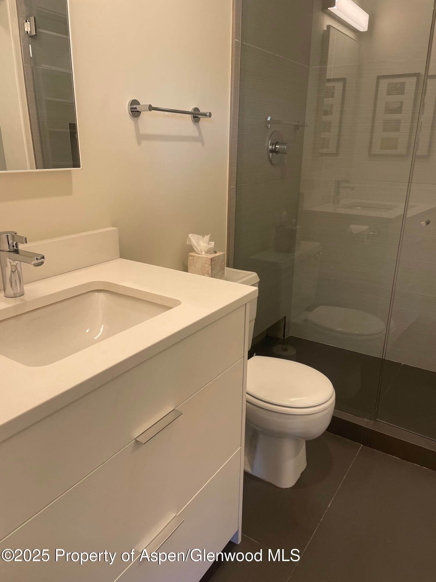 1136 Vine Street 1136, Aspen, CO 81611 - Photo 8