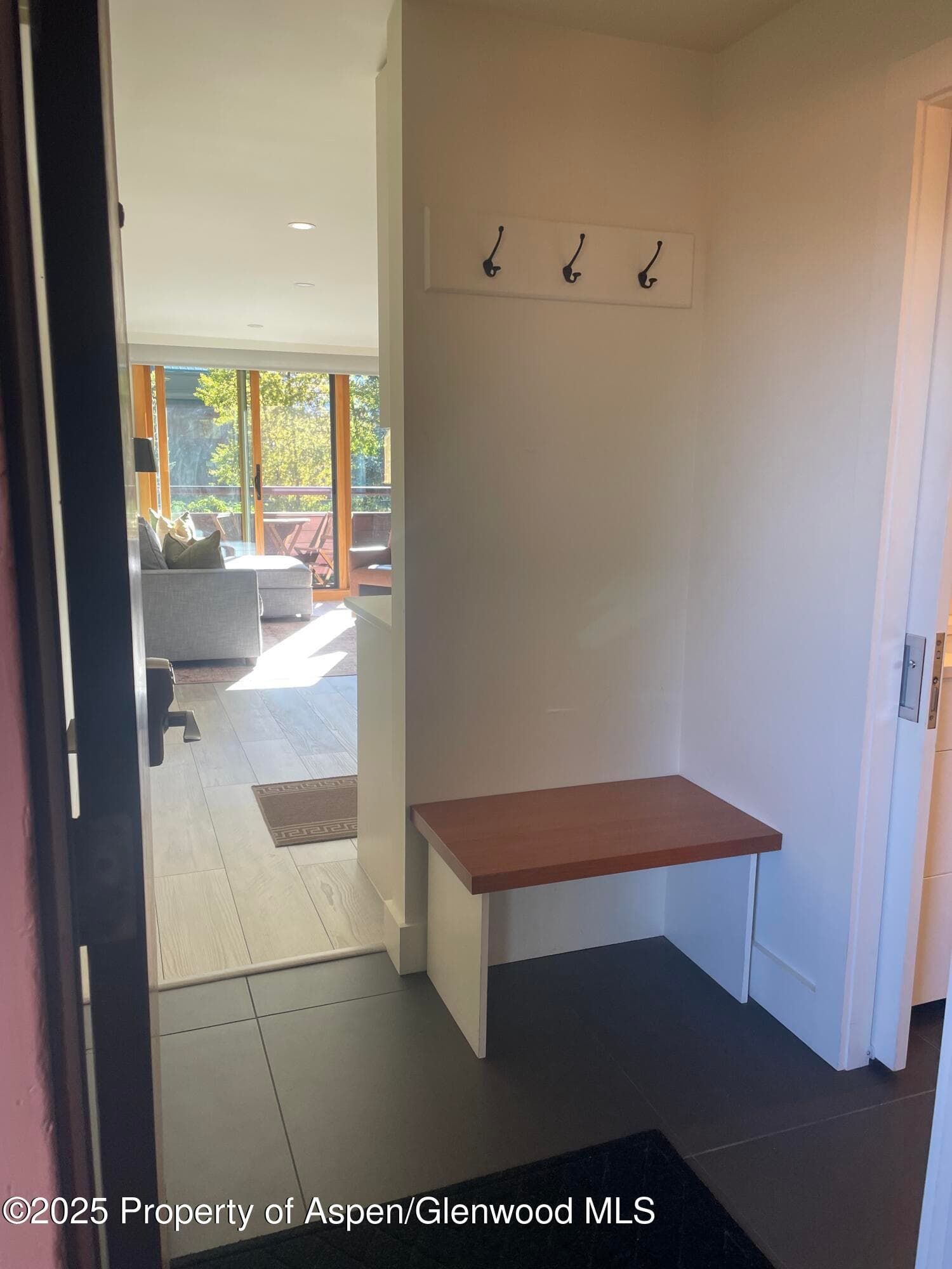 1136 Vine Street 1136, Aspen, CO 81611 - Photo 9