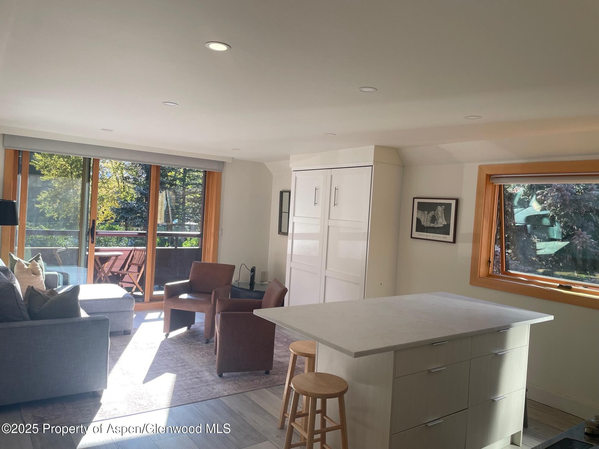 1136 Vine Street 1136, Aspen, CO 81611 - Photo 6