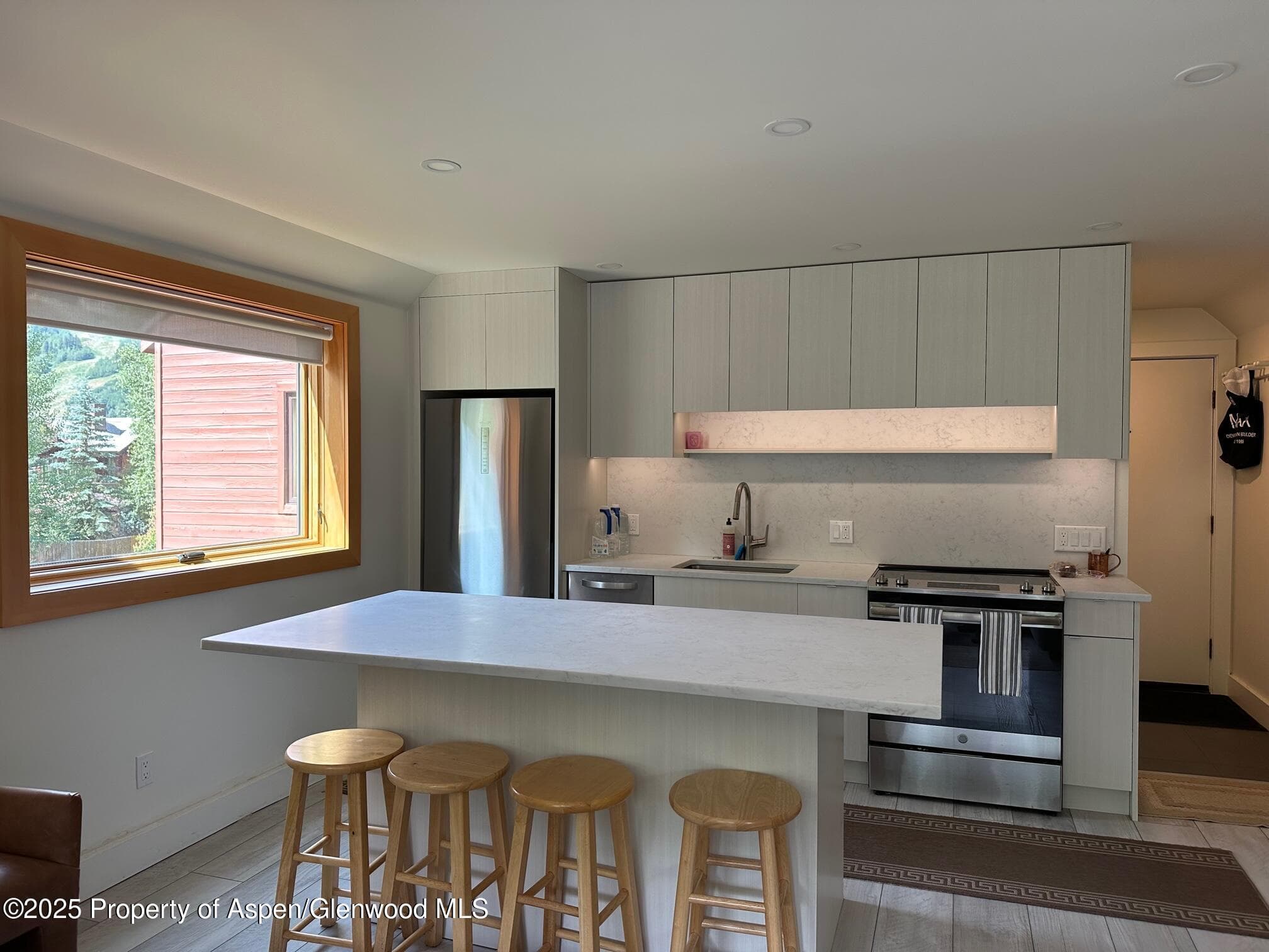 1136 Vine Street 1136, Aspen, CO 81611 - Photo 3