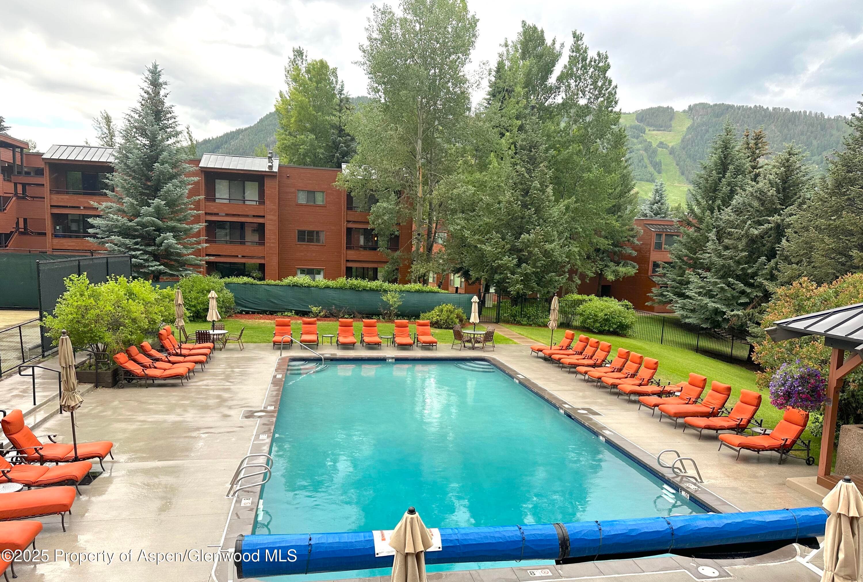 1136 Vine Street 1136, Aspen, CO 81611 - Photo 10