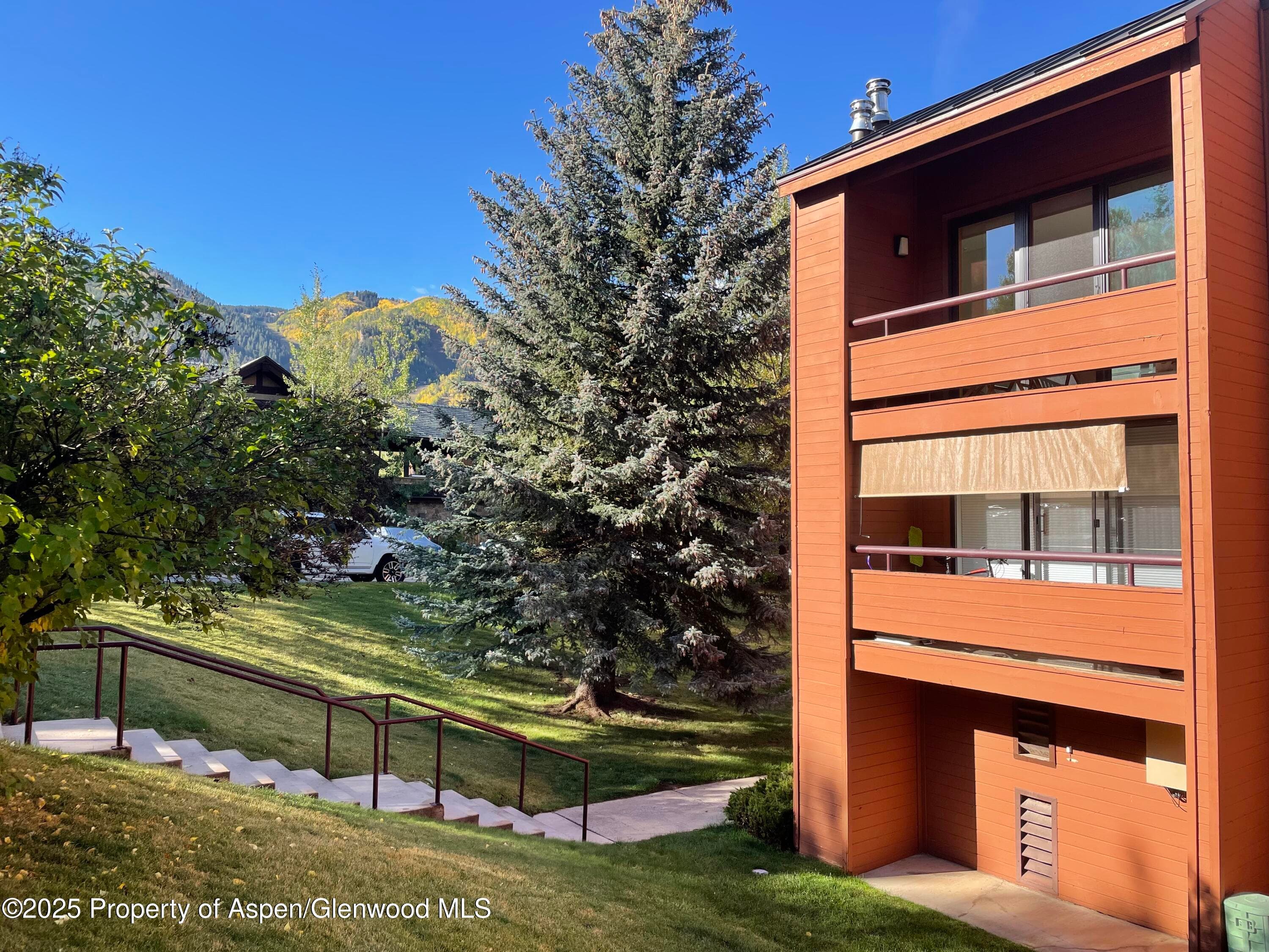 1136 Vine Street 1136, Aspen, CO 81611 - Photo 12