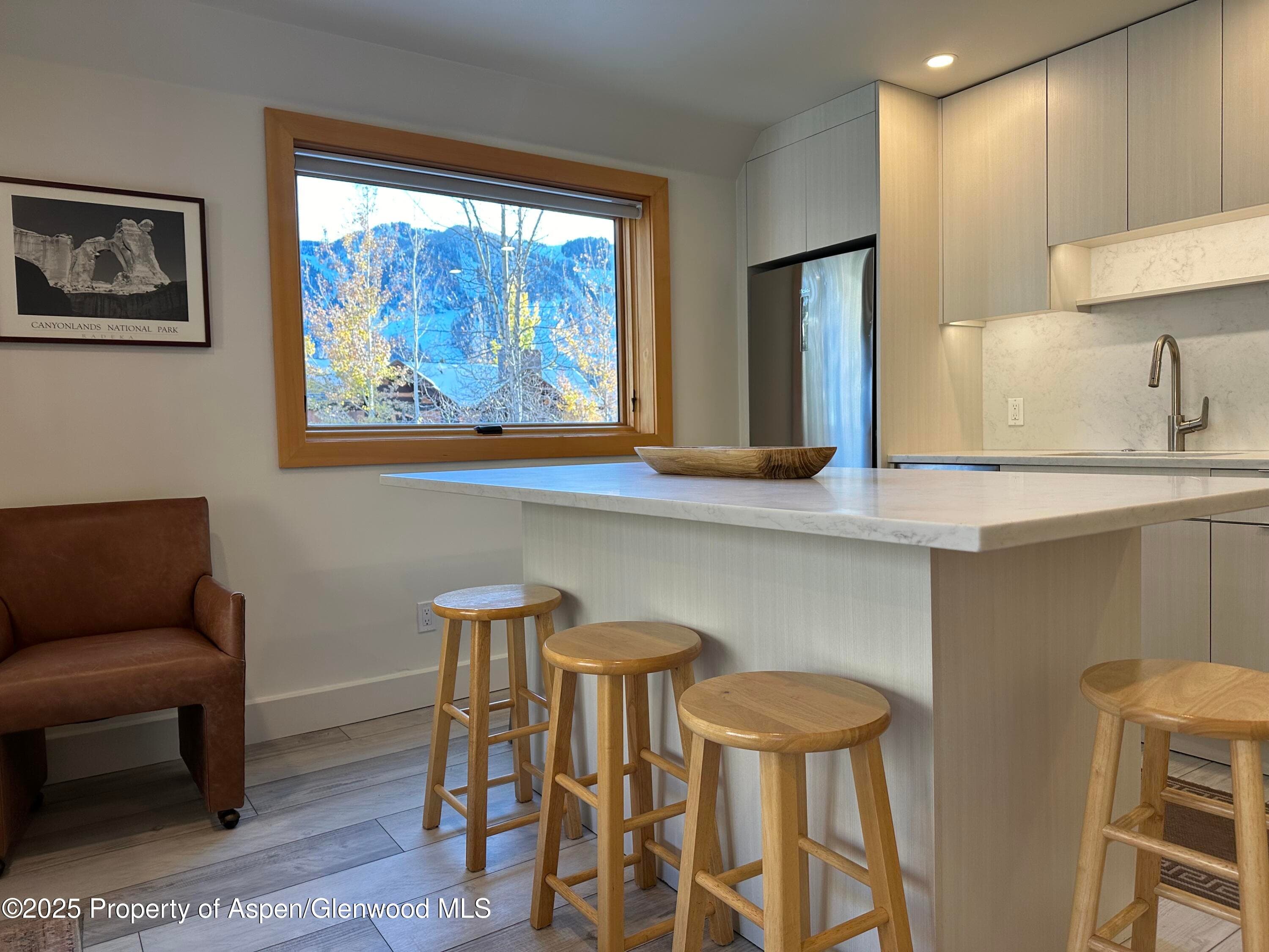 1136 Vine Street 1136, Aspen, CO 81611 - Photo 2