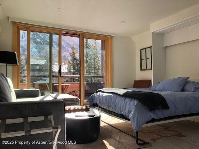 1136 Vine Street 1136, Aspen, CO 81611 - Photo 4