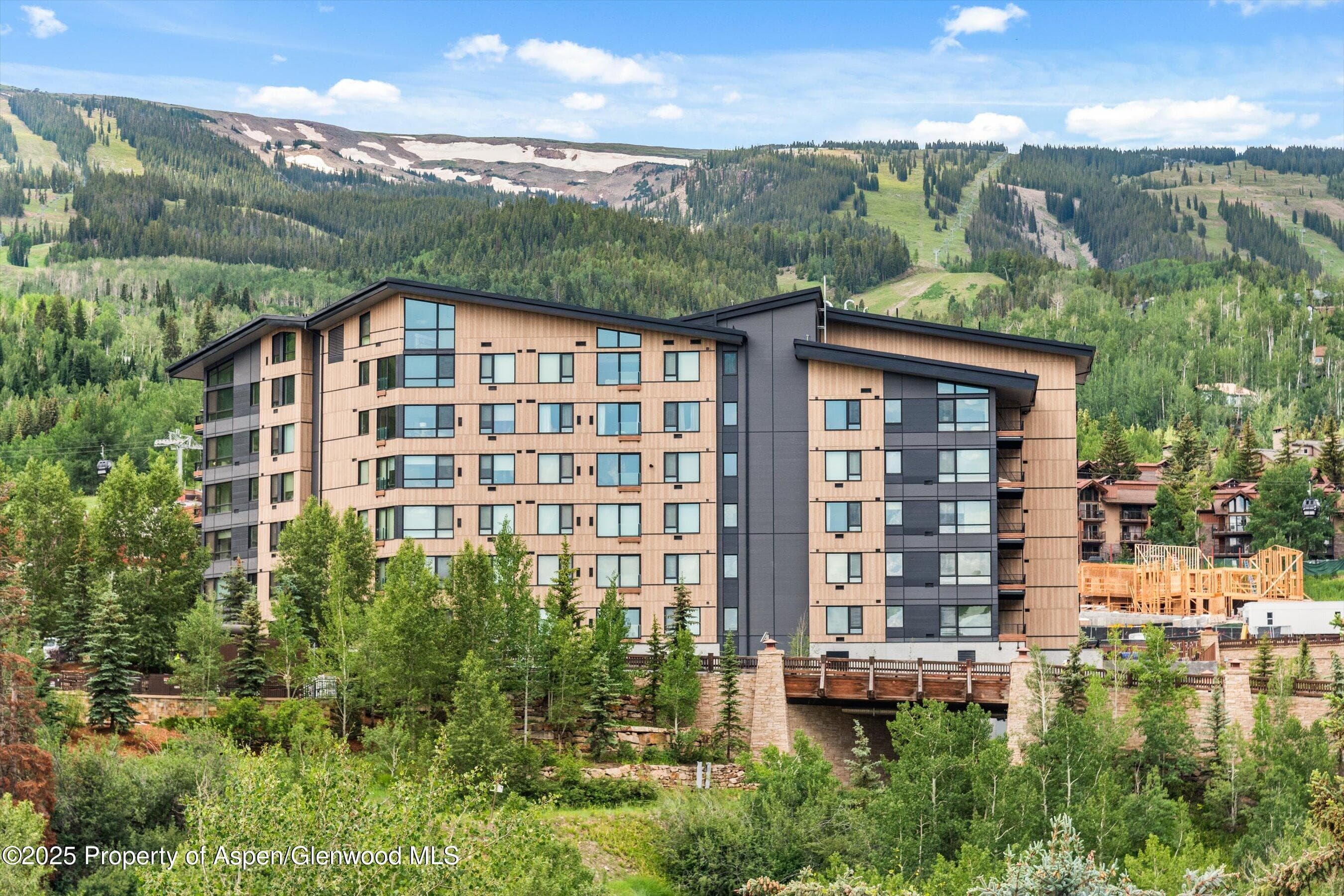 119 Wood Road 403, Snowmass Village, CO 81615 - Photo 23