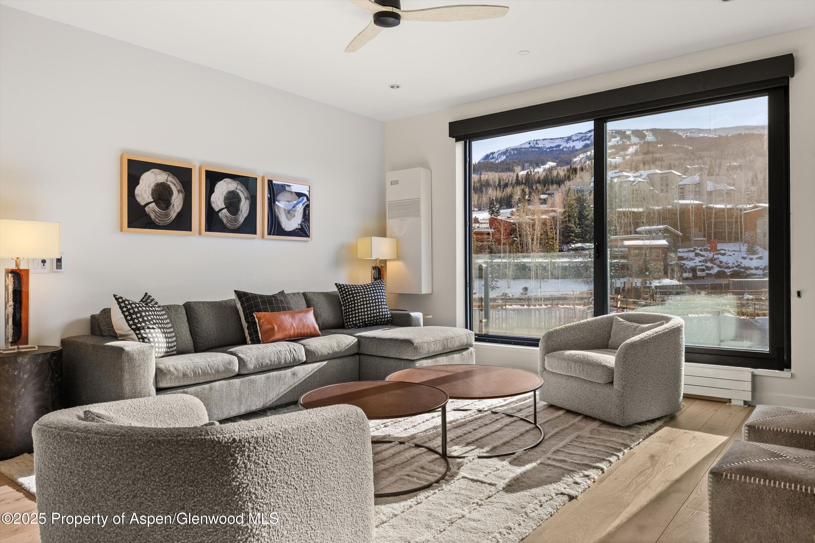 119 Wood Road 403, Snowmass Village, CO 81615 - Photo 6