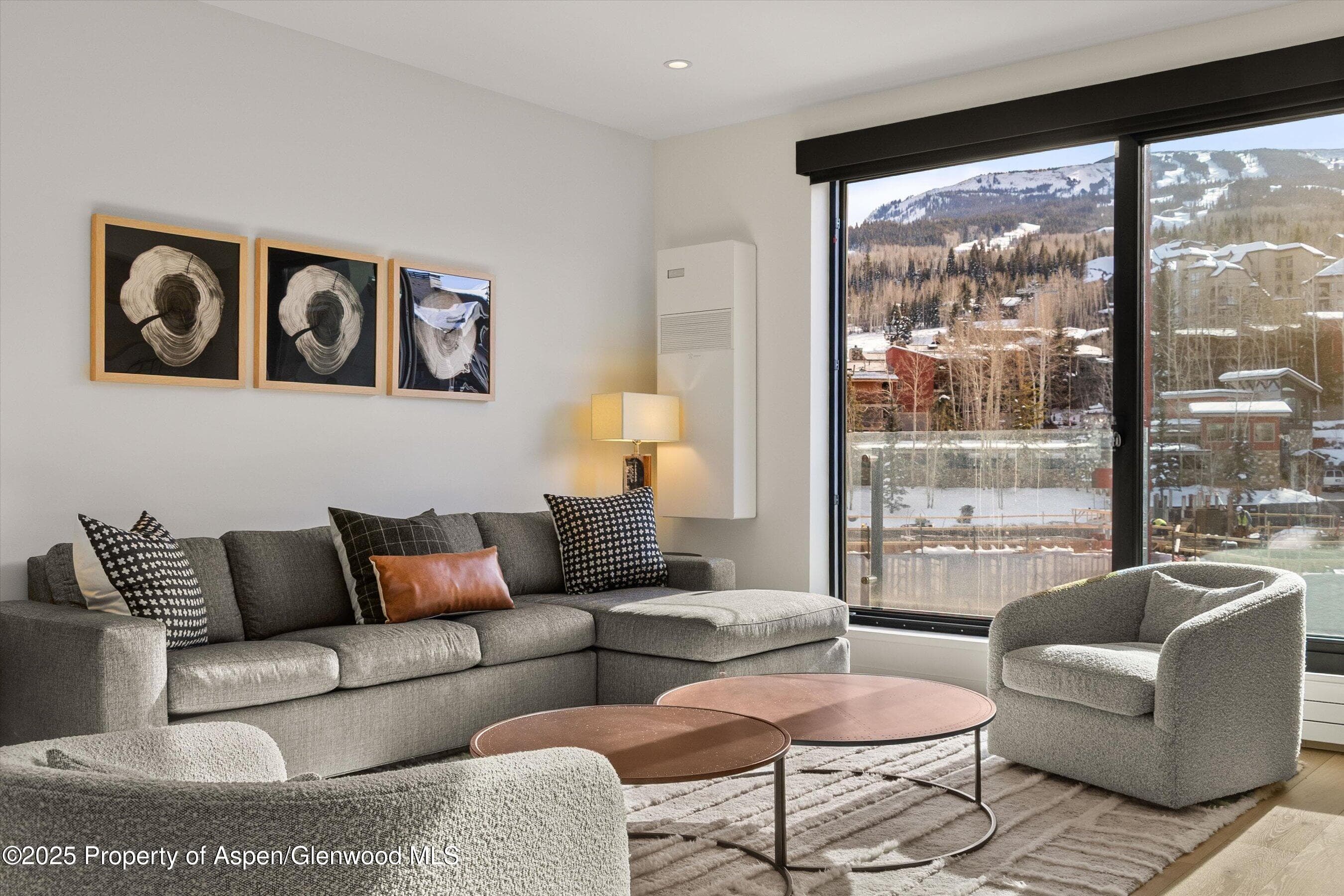 119 Wood Road 403, Snowmass Village, CO 81615 - Photo 7
